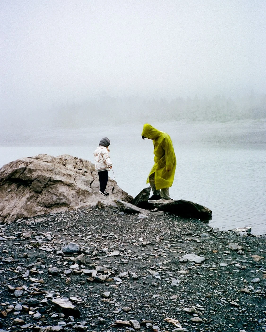 in the fog