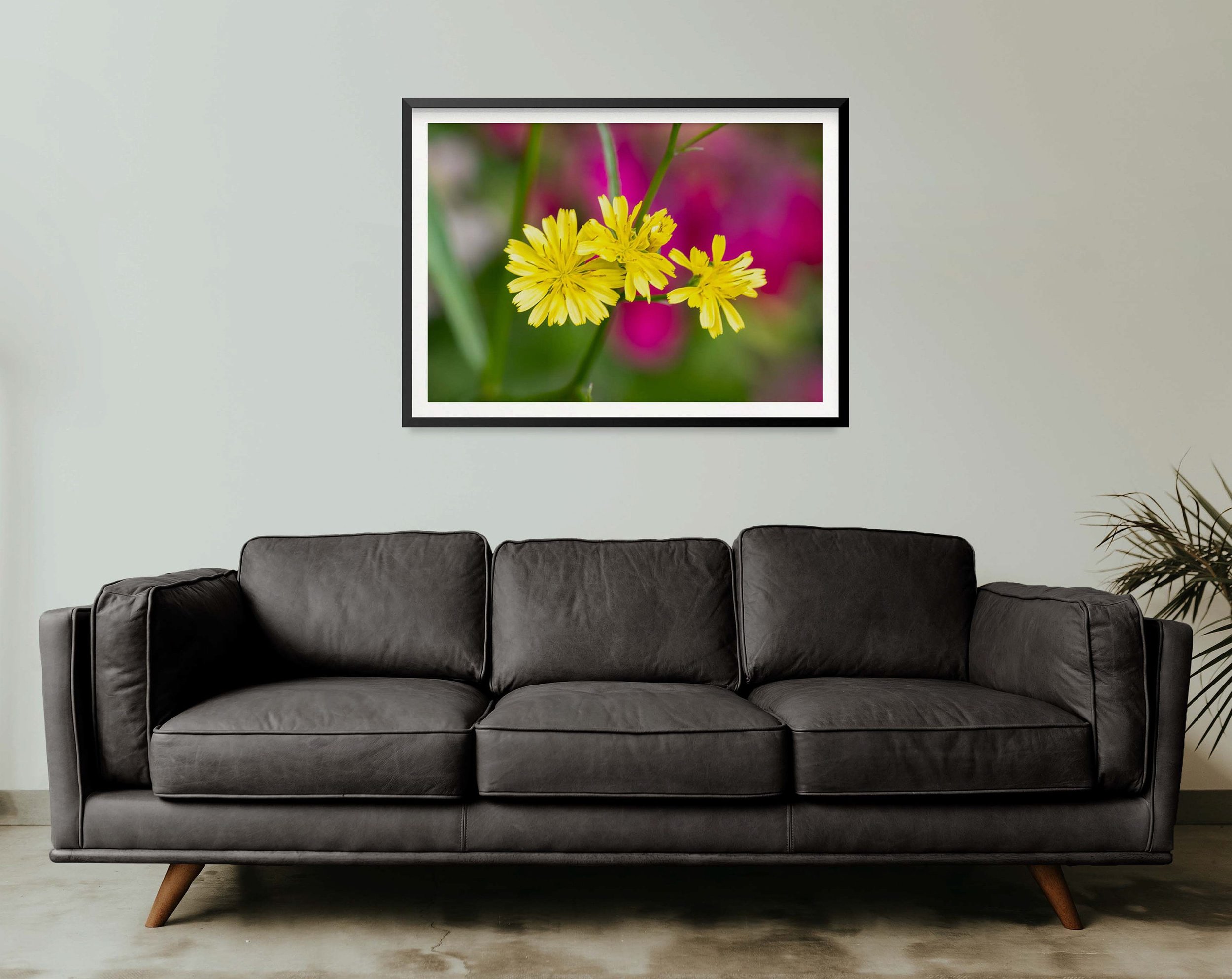 https://i.etsystatic.com/32900779/r/il/7a799a/3520588634/il_fullxfull.3520588634_myb8.jpg