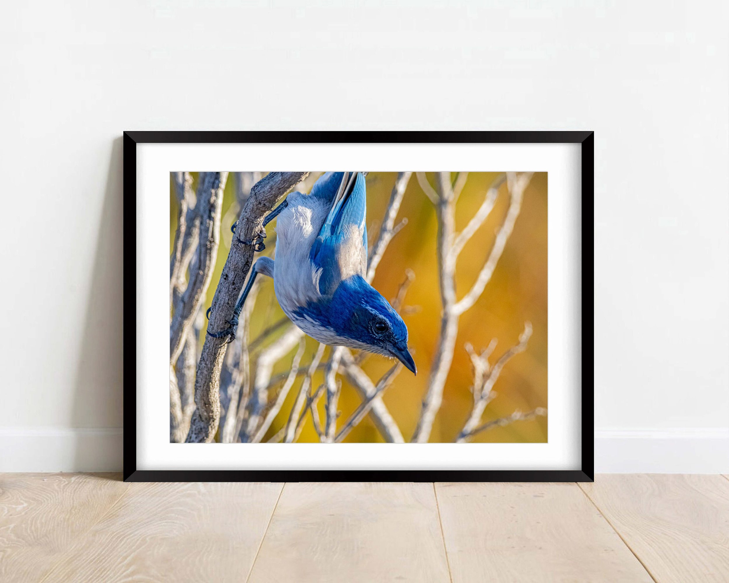 https://i.etsystatic.com/32900779/r/il/59d992/3607831189/il_fullxfull.3607831189_f0bs.jpg