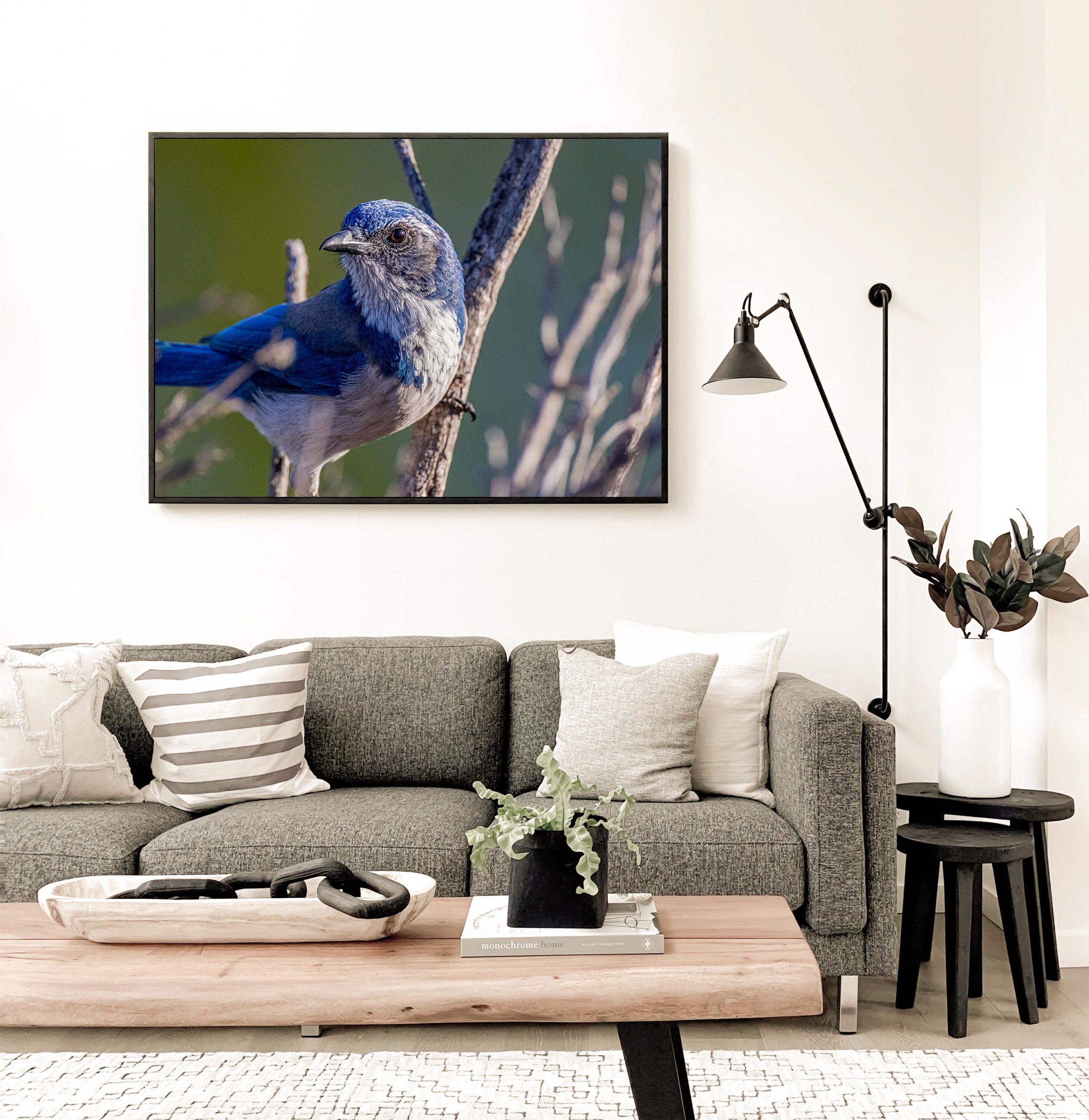 https://i.etsystatic.com/32900779/r/il/224414/3607838529/il_fullxfull.3607838529_3hpg.jpg