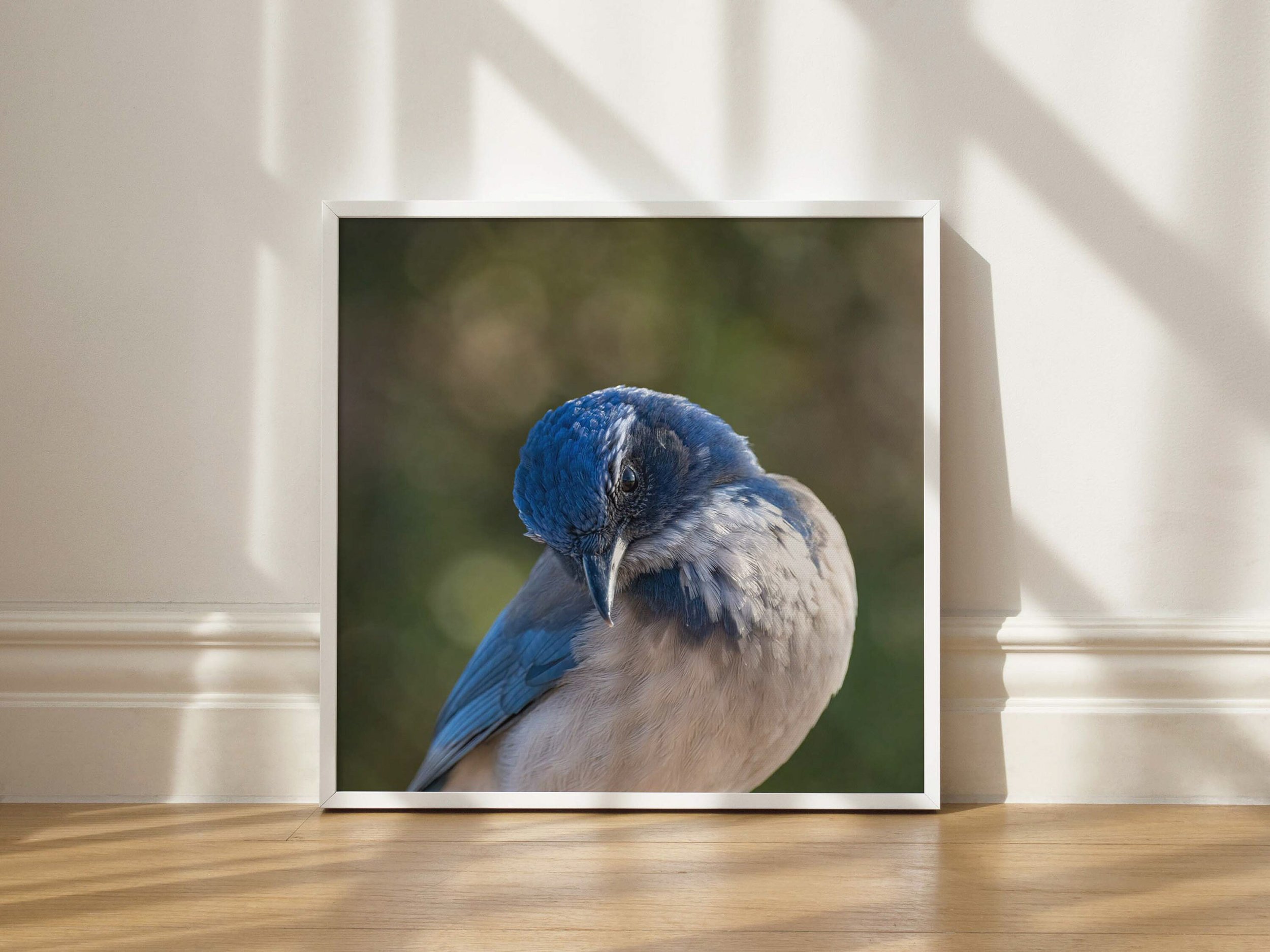 https://i.etsystatic.com/32900779/r/il/15b5aa/3747310015/il_fullxfull.3747310015_7to7.jpg
