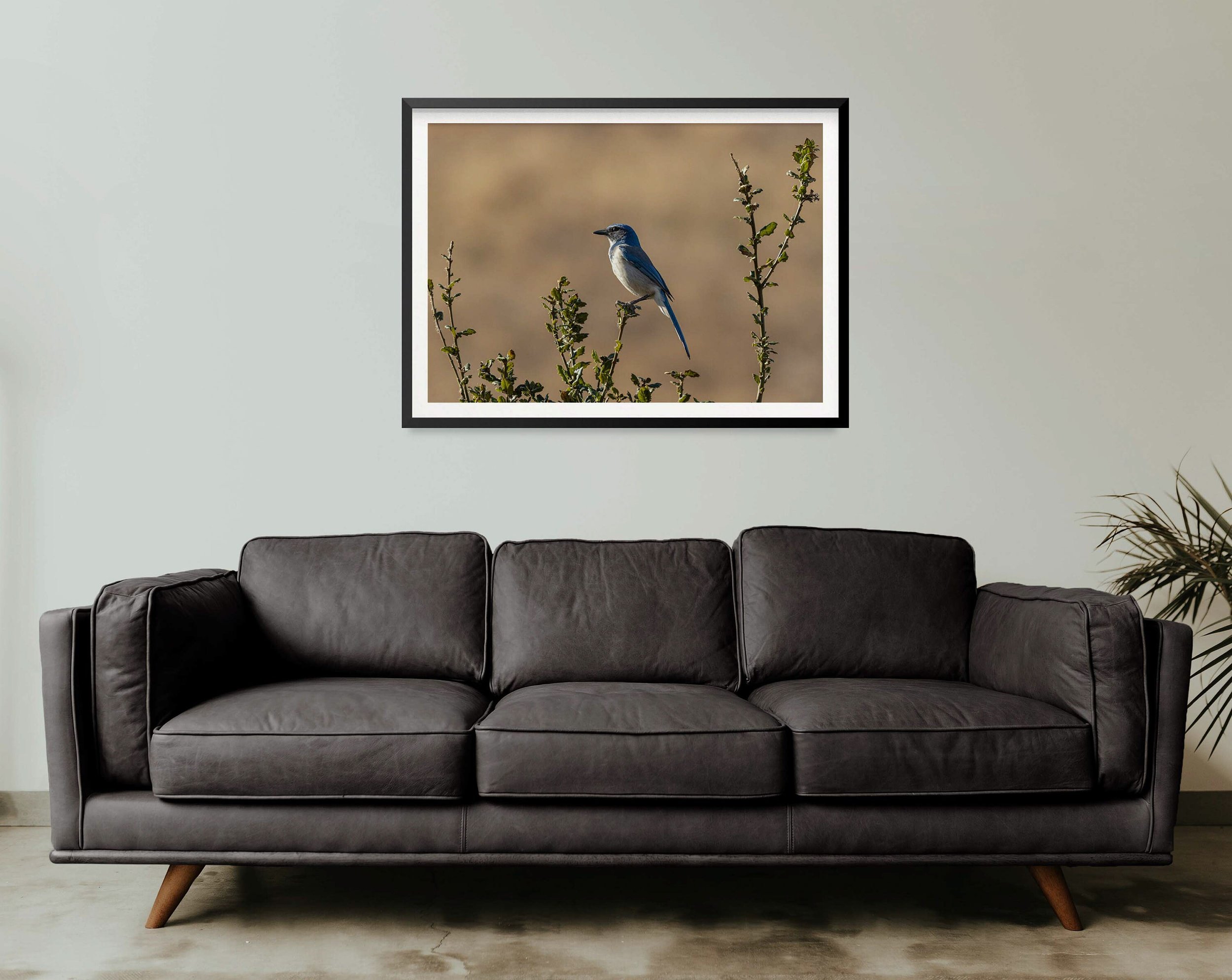https://i.etsystatic.com/32900779/r/il/1cf1c0/3747290063/il_fullxfull.3747290063_bt0u.jpg