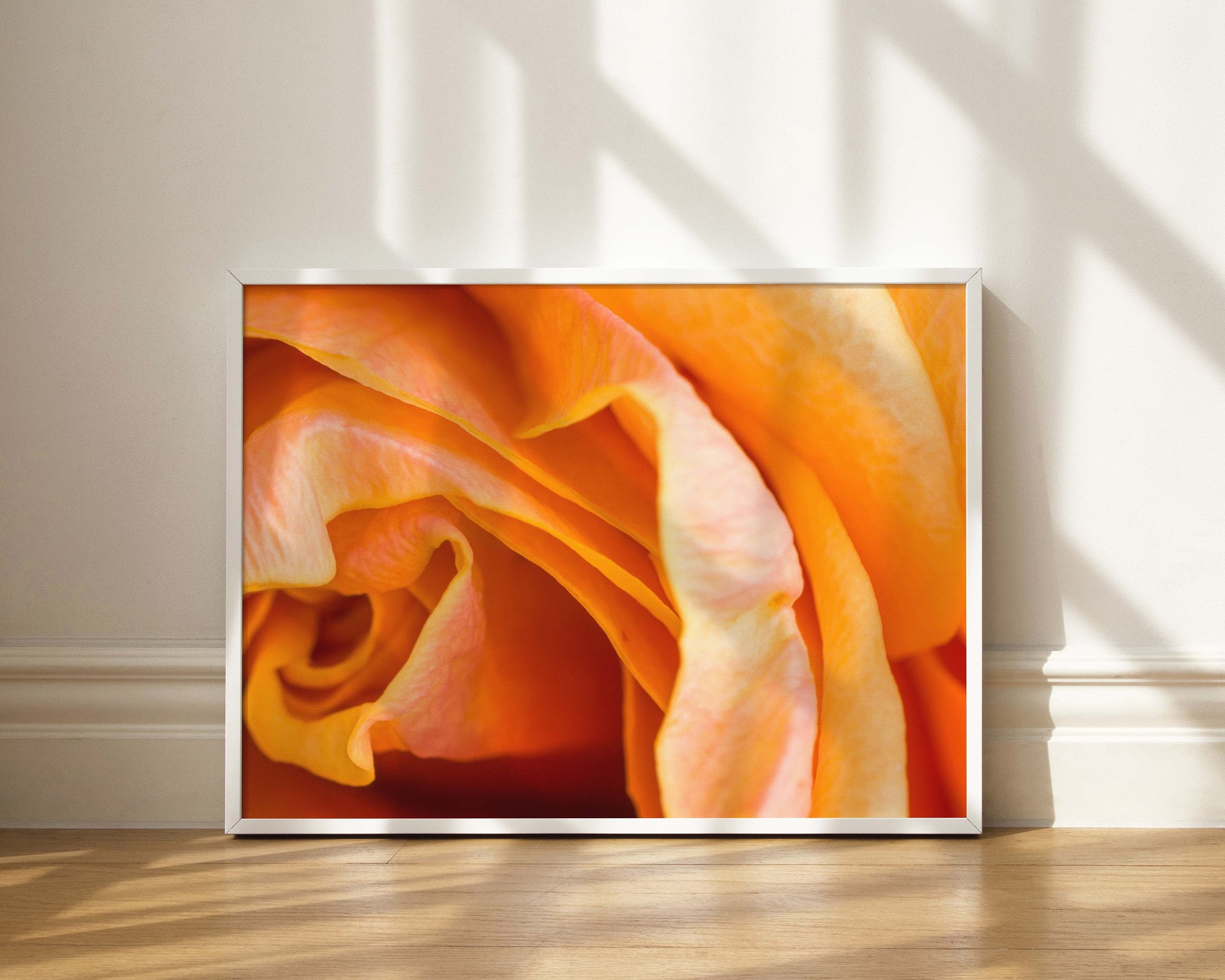 https://i.etsystatic.com/32900779/r/il/b467a8/4442821334/il_fullxfull.4442821334_huzf.jpg