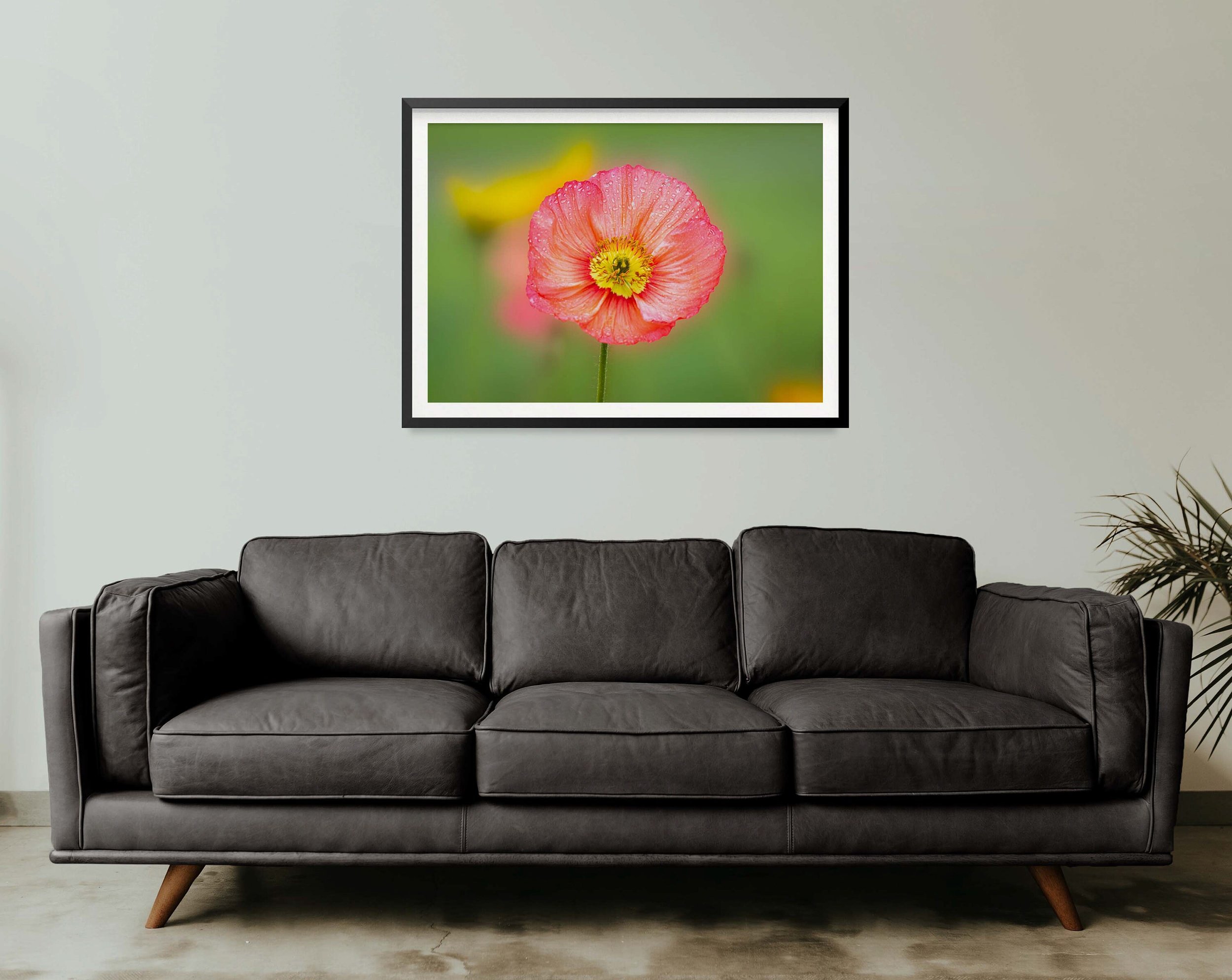https://i.etsystatic.com/32900779/r/il/38ee03/3568364877/il_fullxfull.3568364877_c9lw.jpg