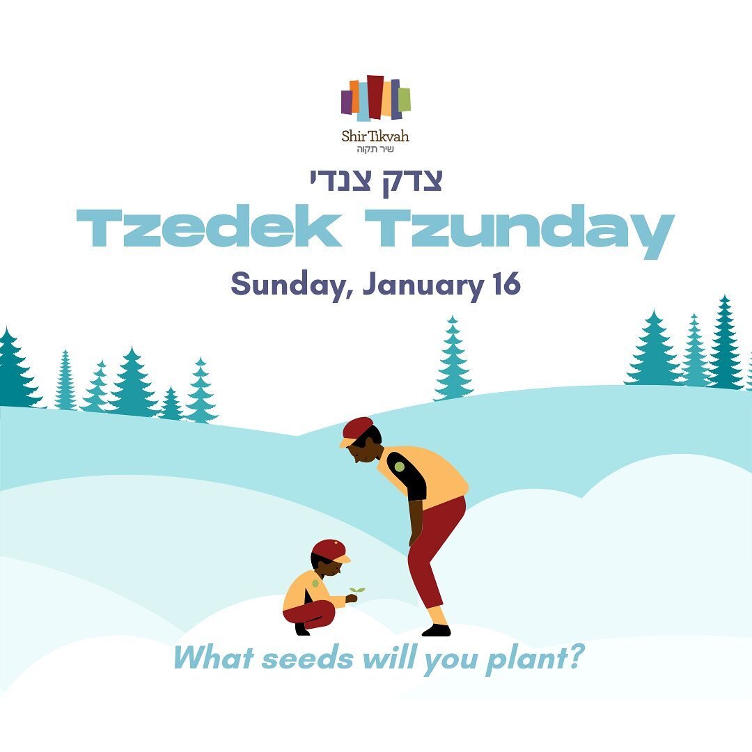 Tzedek Tzunday is THIS Sunday! More information is on our website; check out the link in our bio to choose how you&rsquo;ll engage in Tzedek Tzunday this year. ⚖️🌱