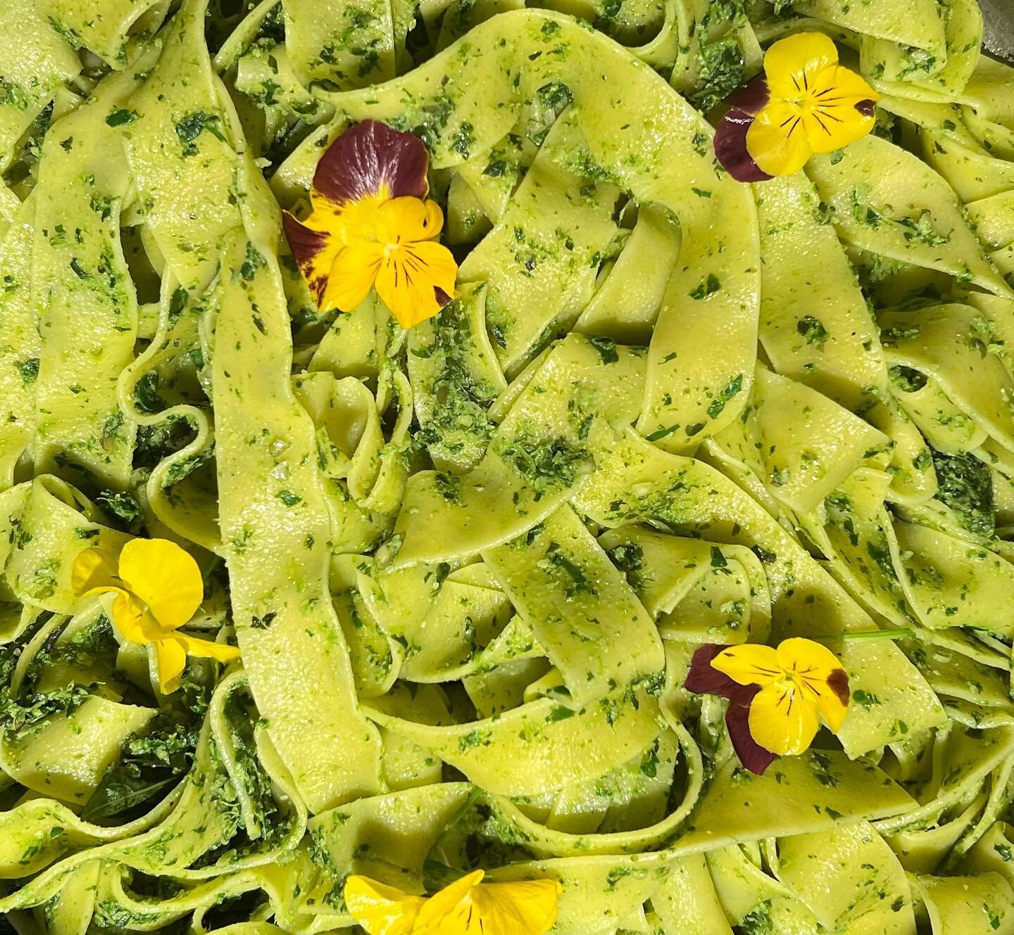 Pumpkin Seed Pesto Pasta!!! @juliebernier It&rsquo;s Springtime, add some edible flowers !! #basil #arugula #pumpkinseeds #pasta #spiceupyourlife #homecooking #lunchtime