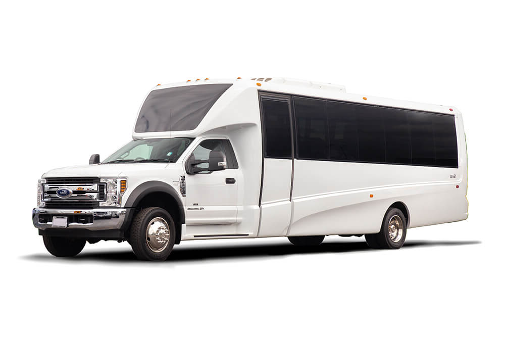 turtleminibus.png