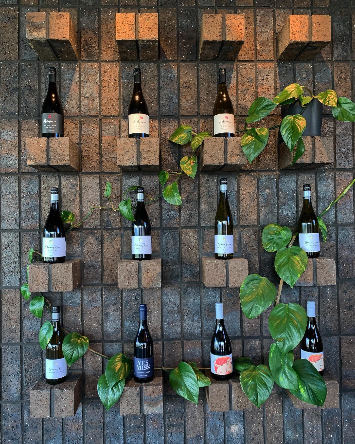 My favourite feature wall 🌱🍷@stoneyrise_wine
