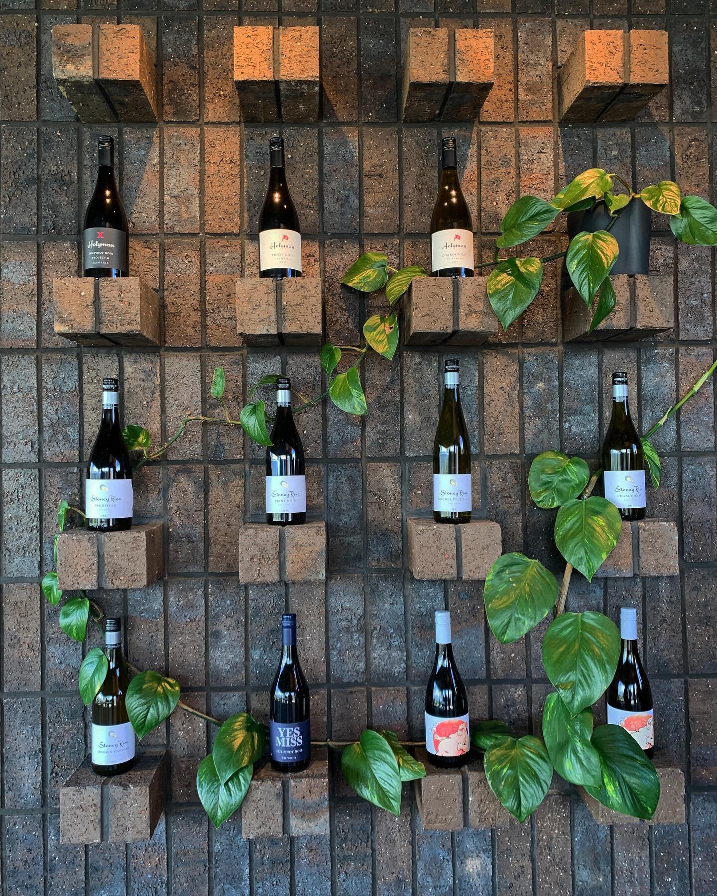 My favourite feature wall 🌱🍷@stoneyrise_wine