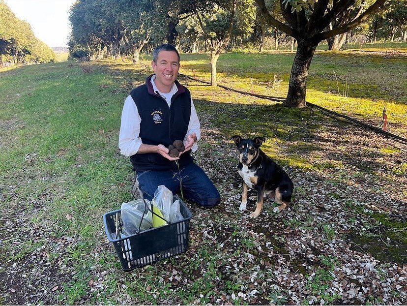 It&rsquo;s that time of the year again! Our friends @tamarvalleytruffles are busy harvesting and packing truffles orders to ship Tassie truffles around the globe. How does owner Marcus eat his truffles? Finely grated into mashed potato with LOTS of b