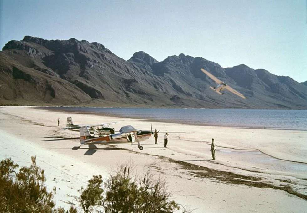 learn-lake-pedder-11961207.jpg