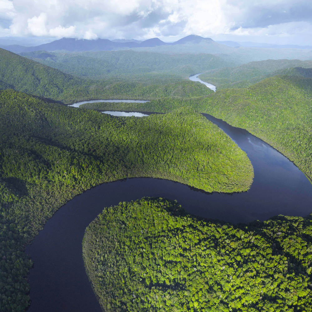 The Franklin Dam - where thinking changed — Experiential Tasmania