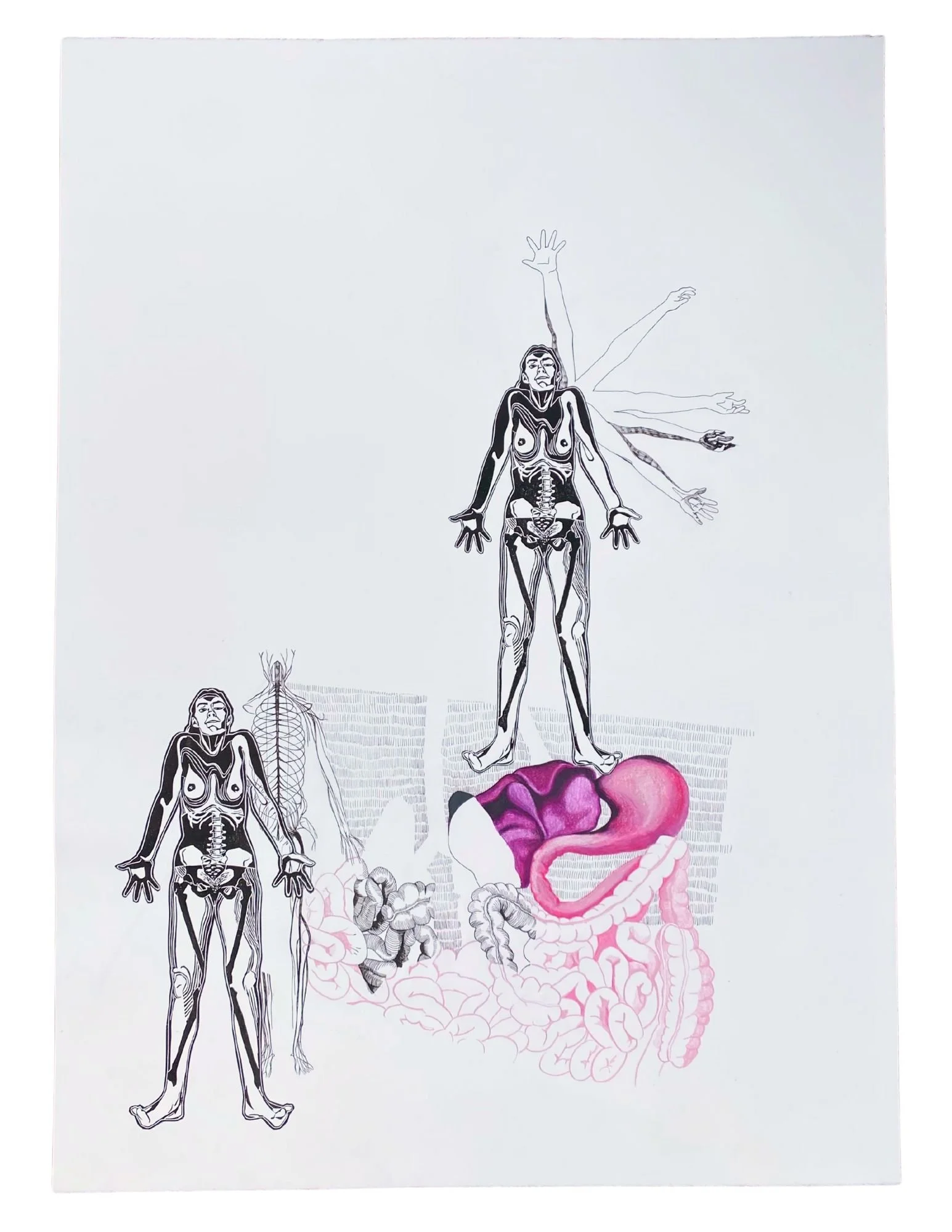 Linocut Collage & Colour Pencil Drawing