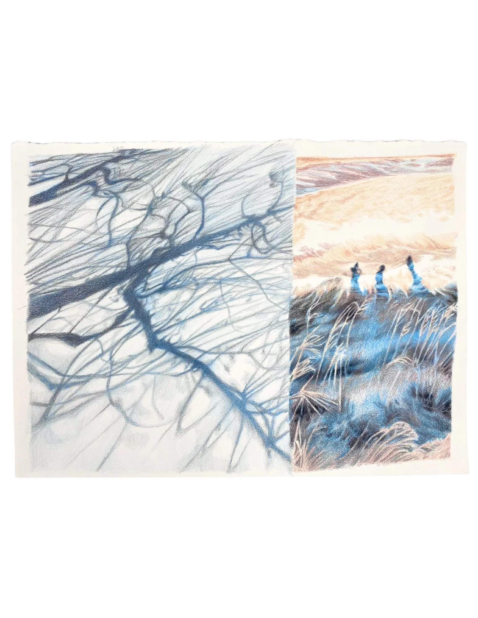 Colour Pencil Drawing