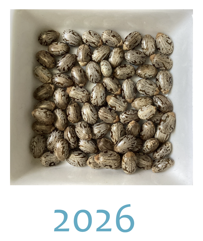 Screenshot 2025-12-27 at 5.36.53 PM.png