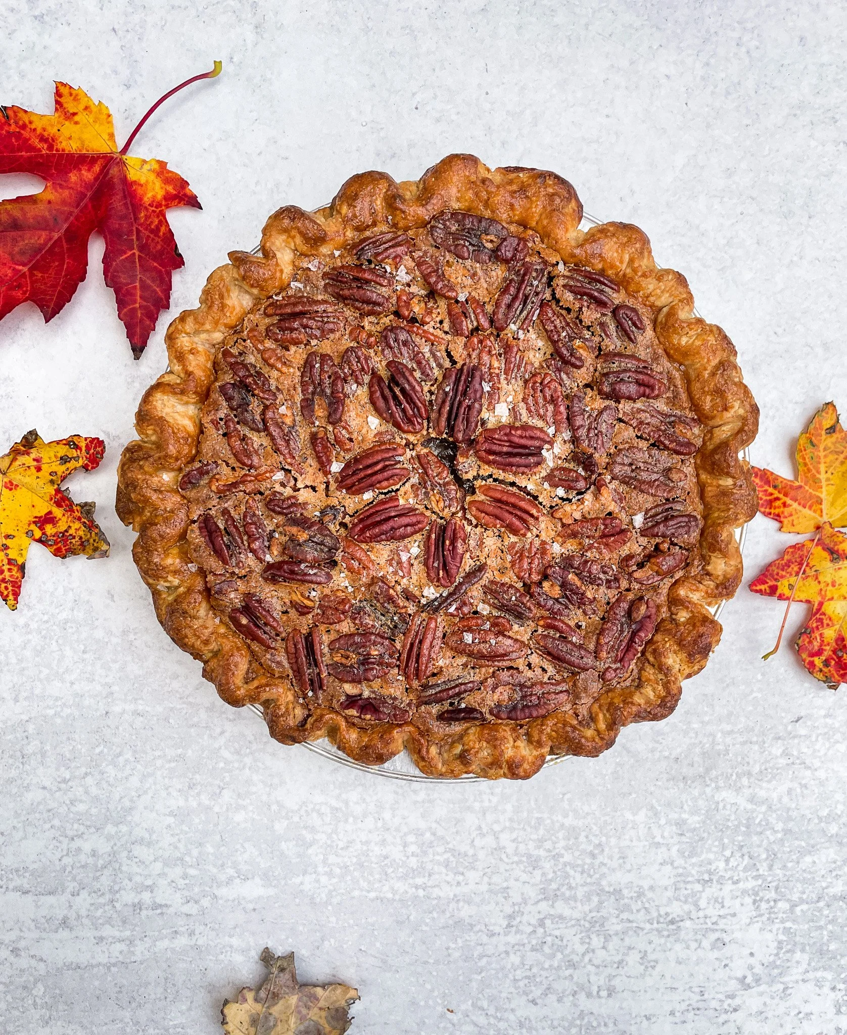 Maple Bourbon Pecan Pie (with a secret chocolate ganache layer!)
