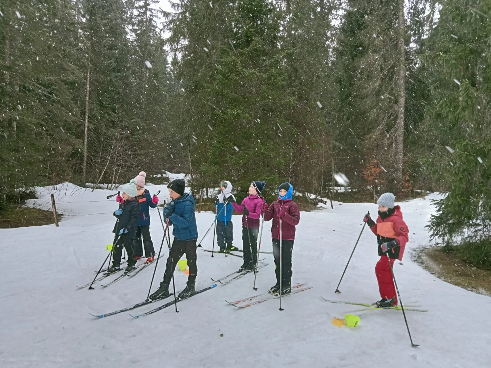 WhatsApp Image 2026-03-25 at 16.22.18.jpeg