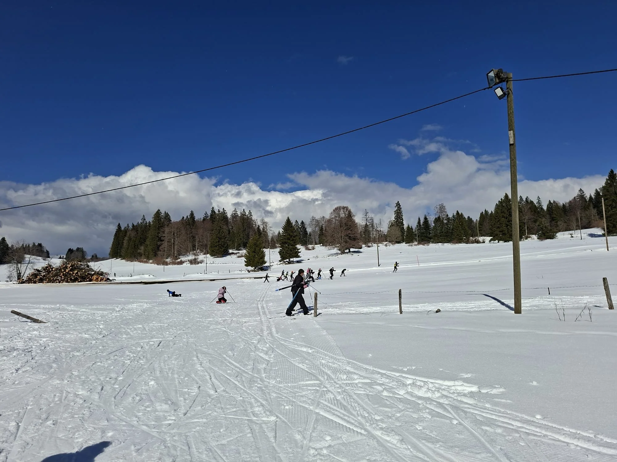 WhatsApp Image 2026-04-01 at 19.27.332.jpeg