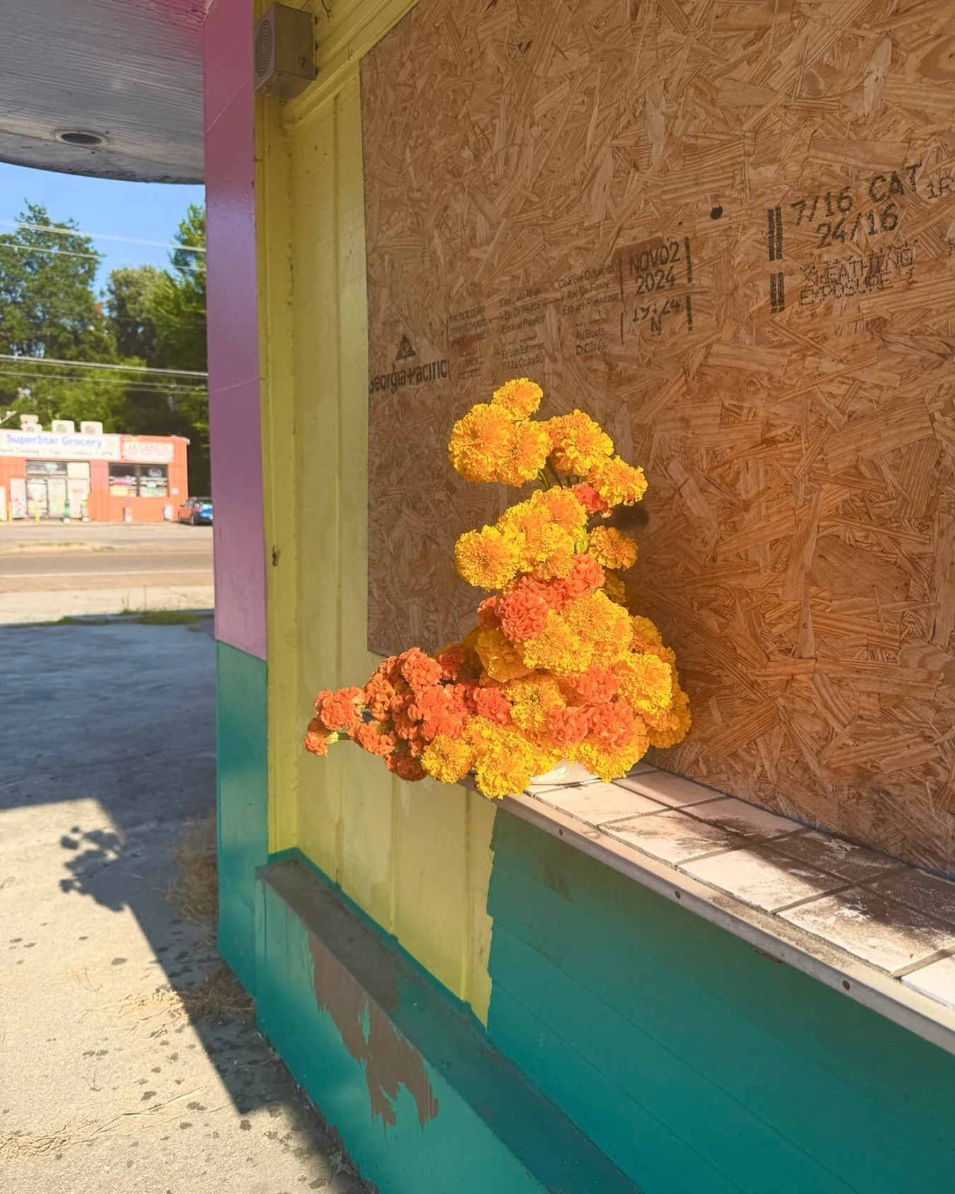 marigold + celosia