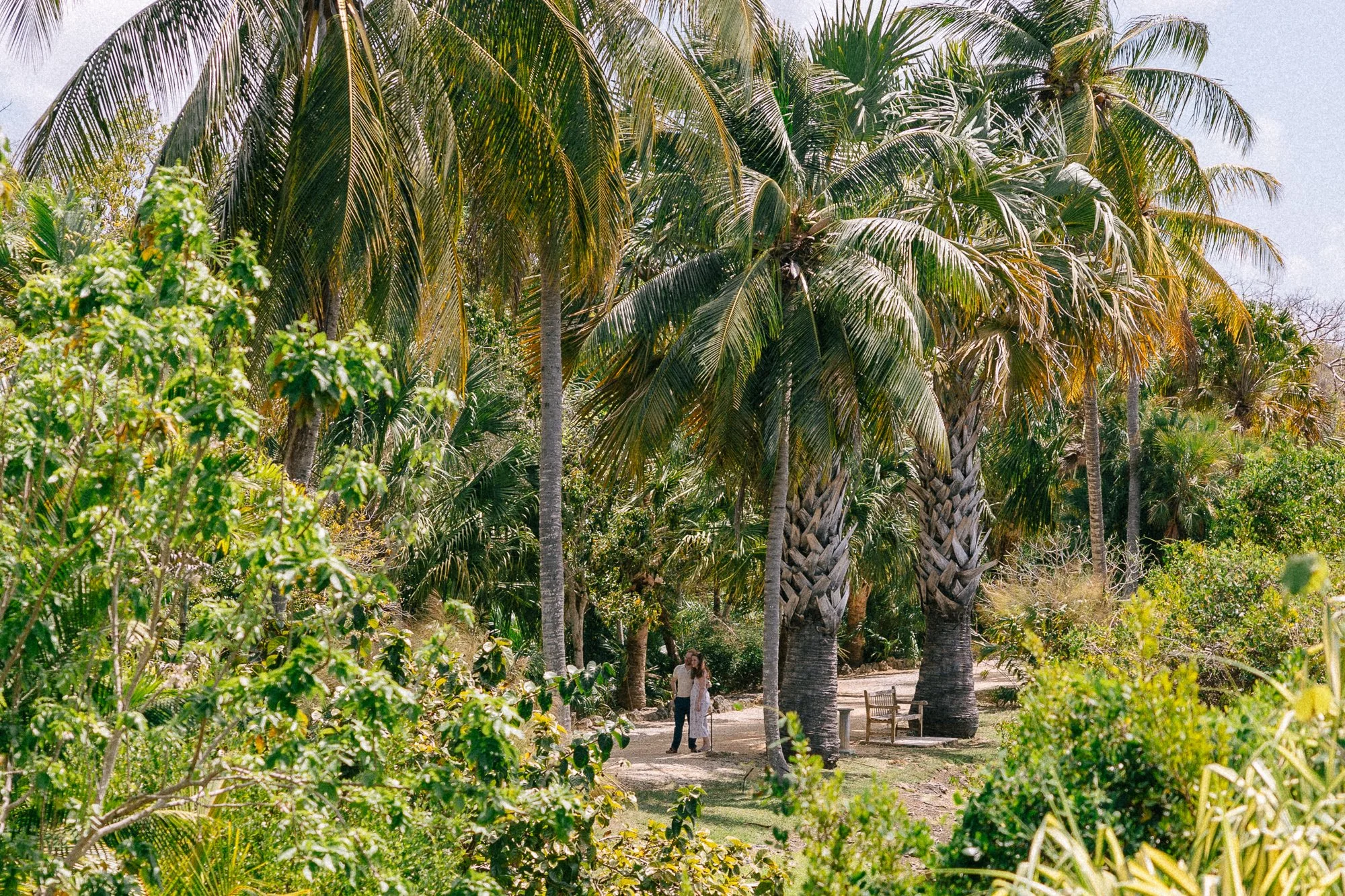 Garden_Locations_In_grand_Cayman_for_a_taylor_swift_inspired_engagement.jpg