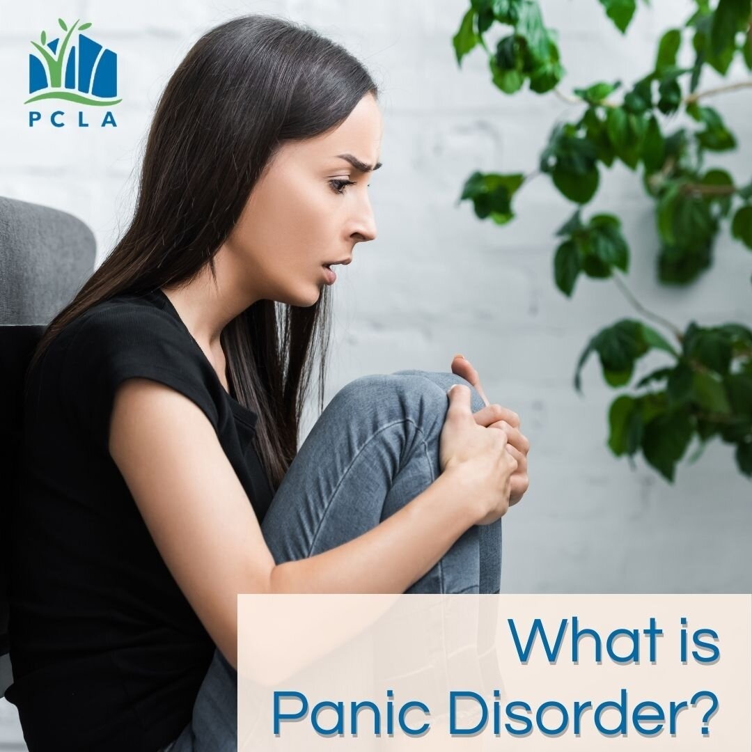 What is a Panic Disorder?

A panic disorder is a type of anxiety disorder characterized by episodes of intense fear and discomfort that occur without warning. These attacks may be triggered by a wide variety of situations, including:

- Being in 