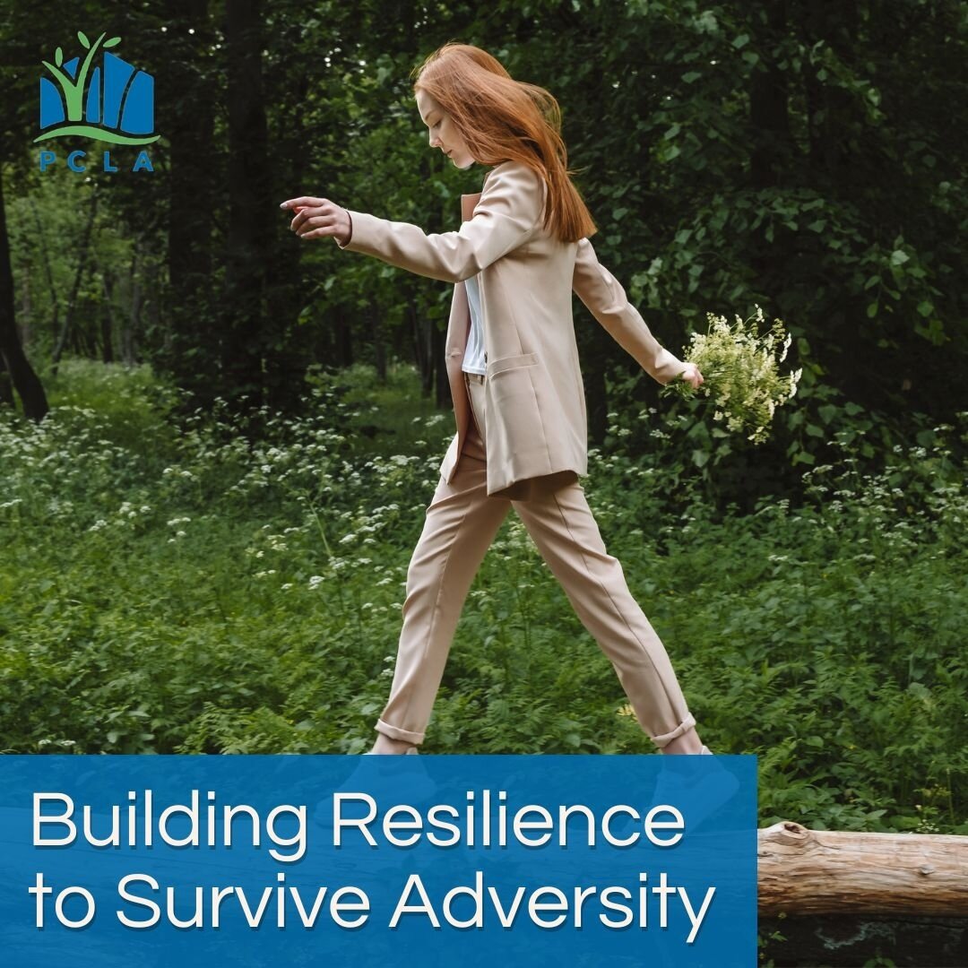 Building Resilience to Survive Adversity

While there is no way to avoid sorrow, adversity, or distress in life, there are methods for smoothing the rough waters and regaining control. Resilience is the ability to cope with loss, change, and trauma