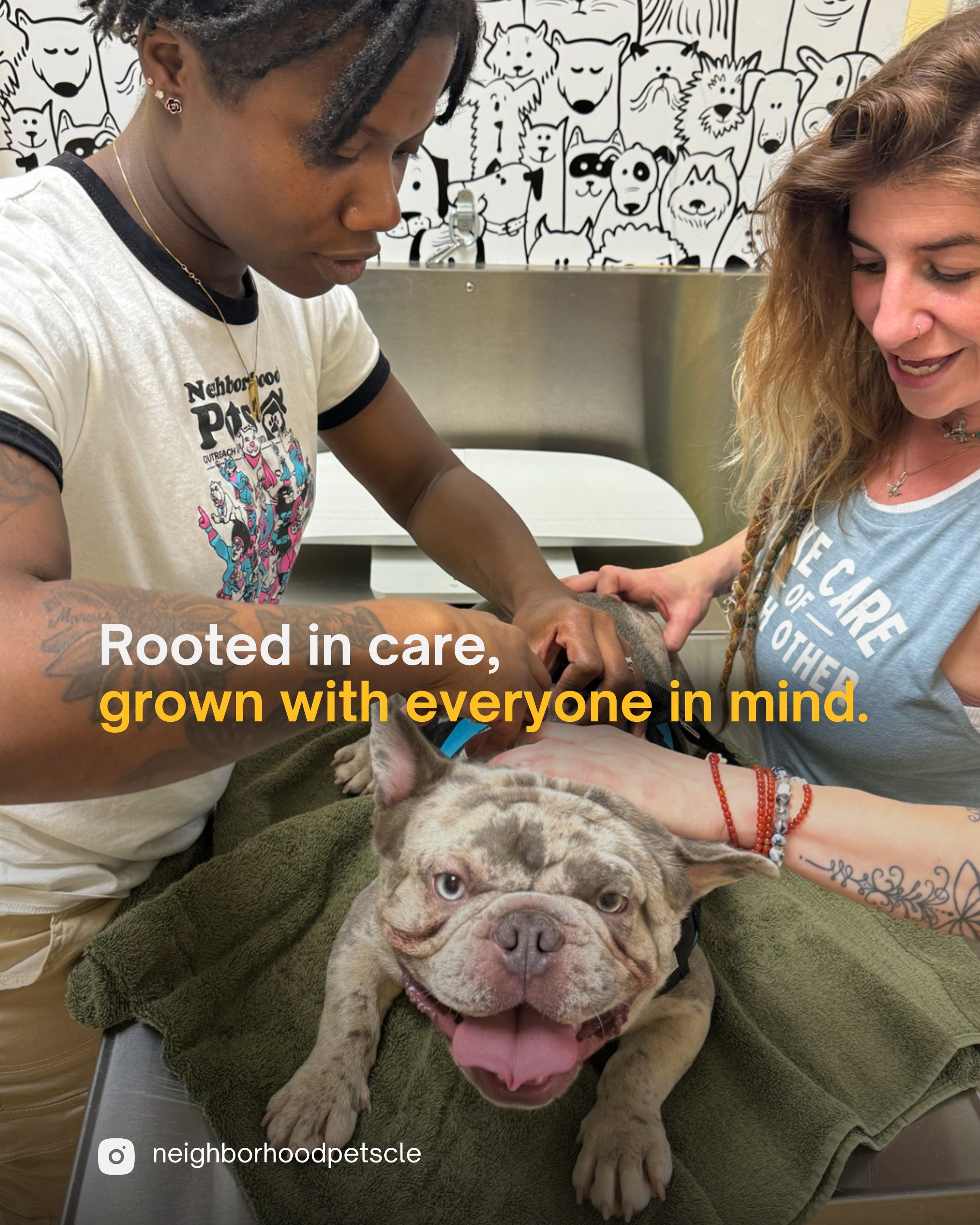 neighborhood pets.jpg