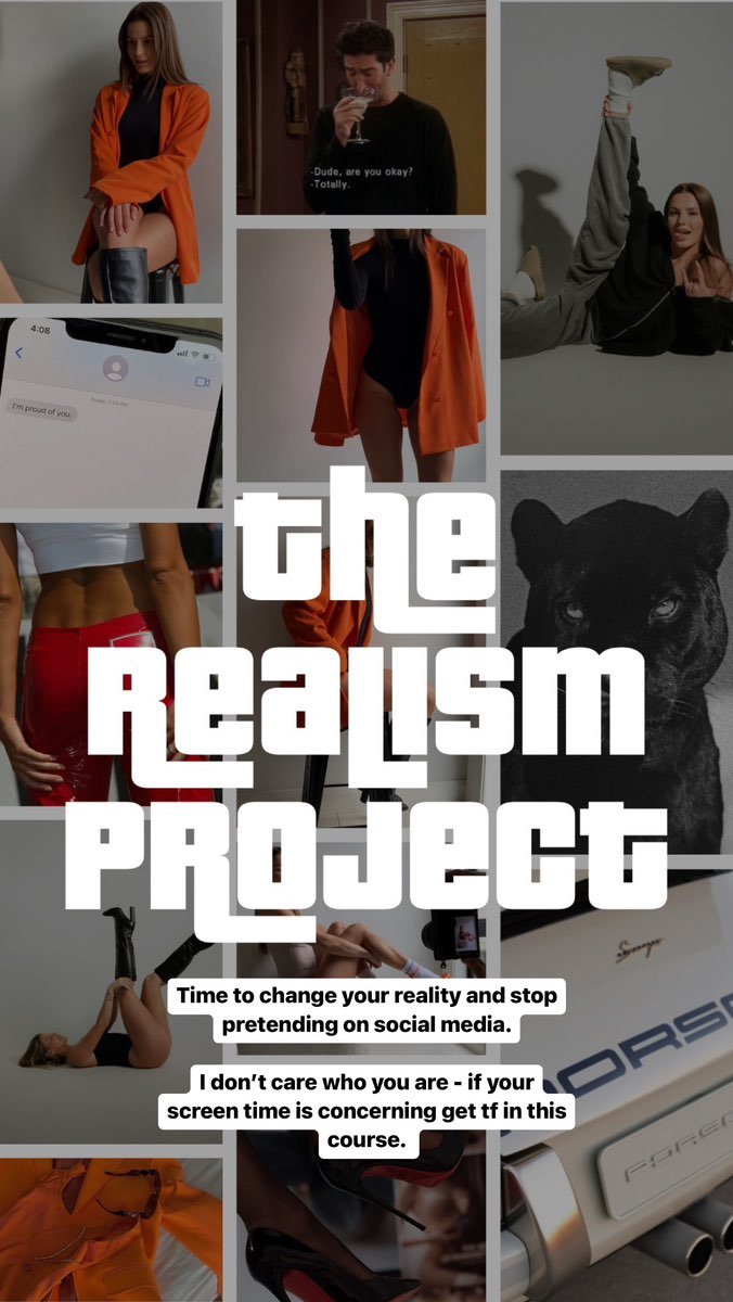THE REALISM PROJECT PIF