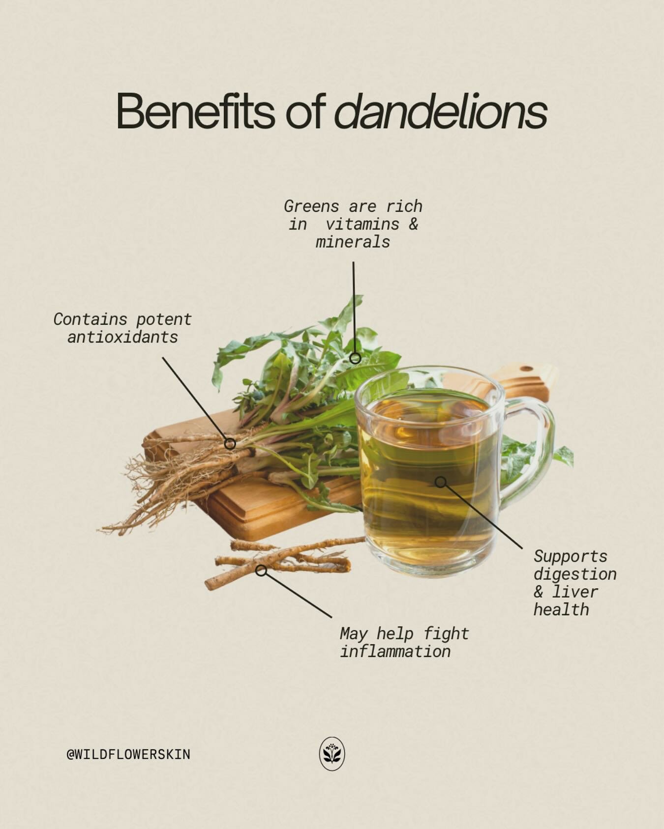 🌿Happy Dandelion Day!🌼

Did you know today is National Dandelion Day? The humble dandelion that my partner likes to run over with mower every week is a powerhouse for your skin!🌼 From root to petal, dandelion is packed with vitamins and antioxidan