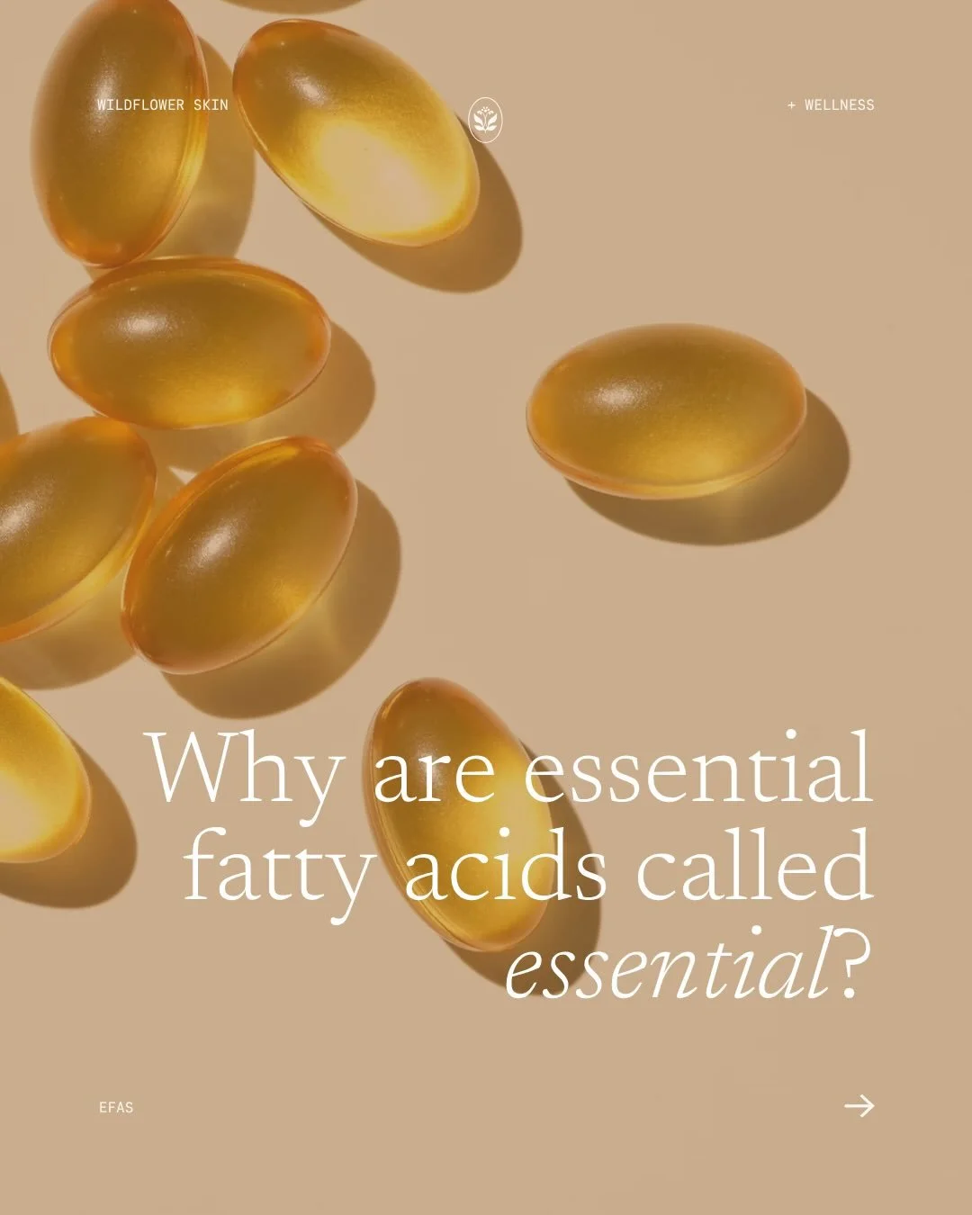 Did you know that 97% of Australians have dehydrated skin? Did you know that 90% of Australians are not meeting recommended omega 3 intake levels? ‼️