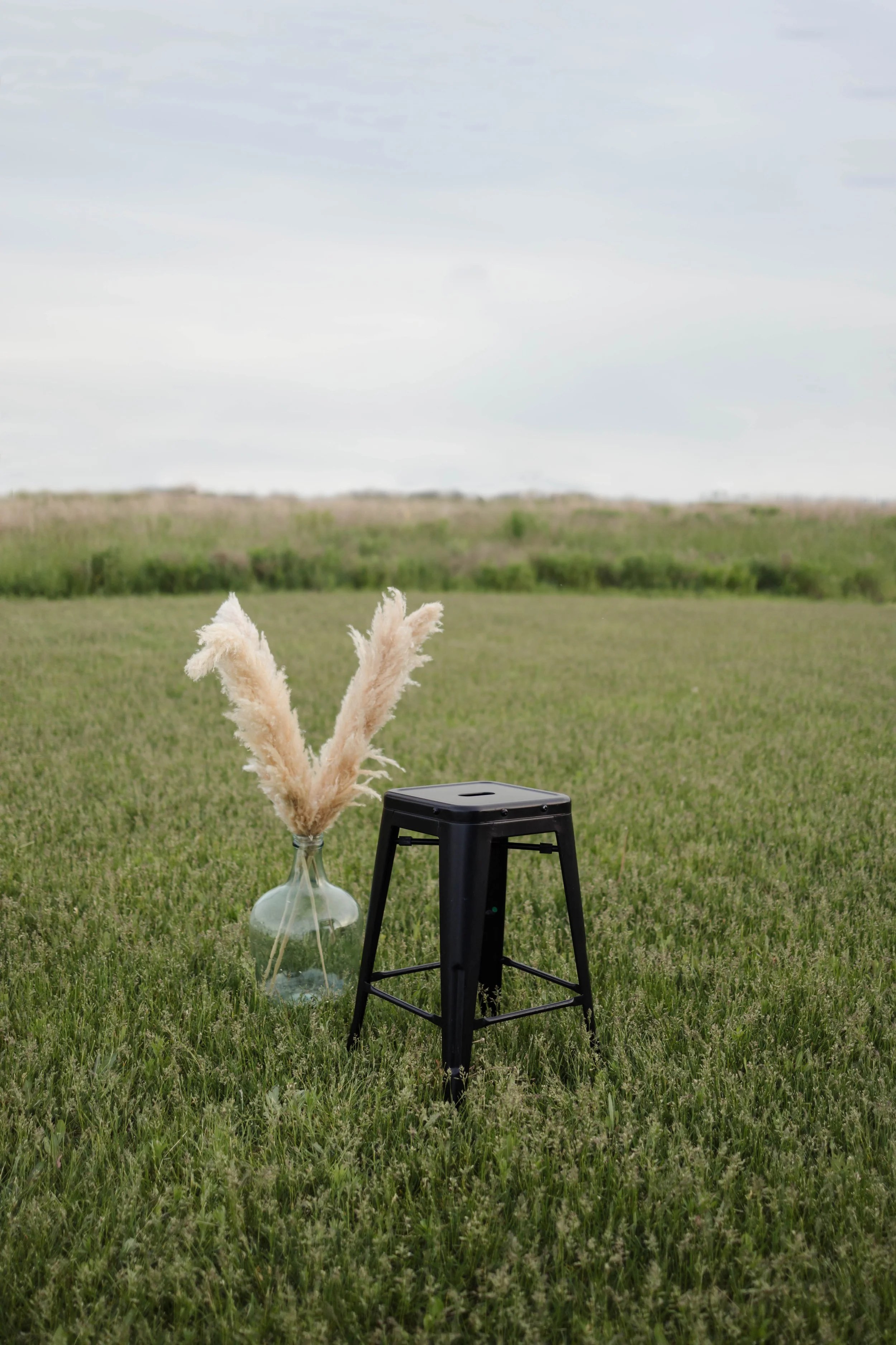A black stool, a glass vase with pampas grass, on a grassy field with a cloudy sky.