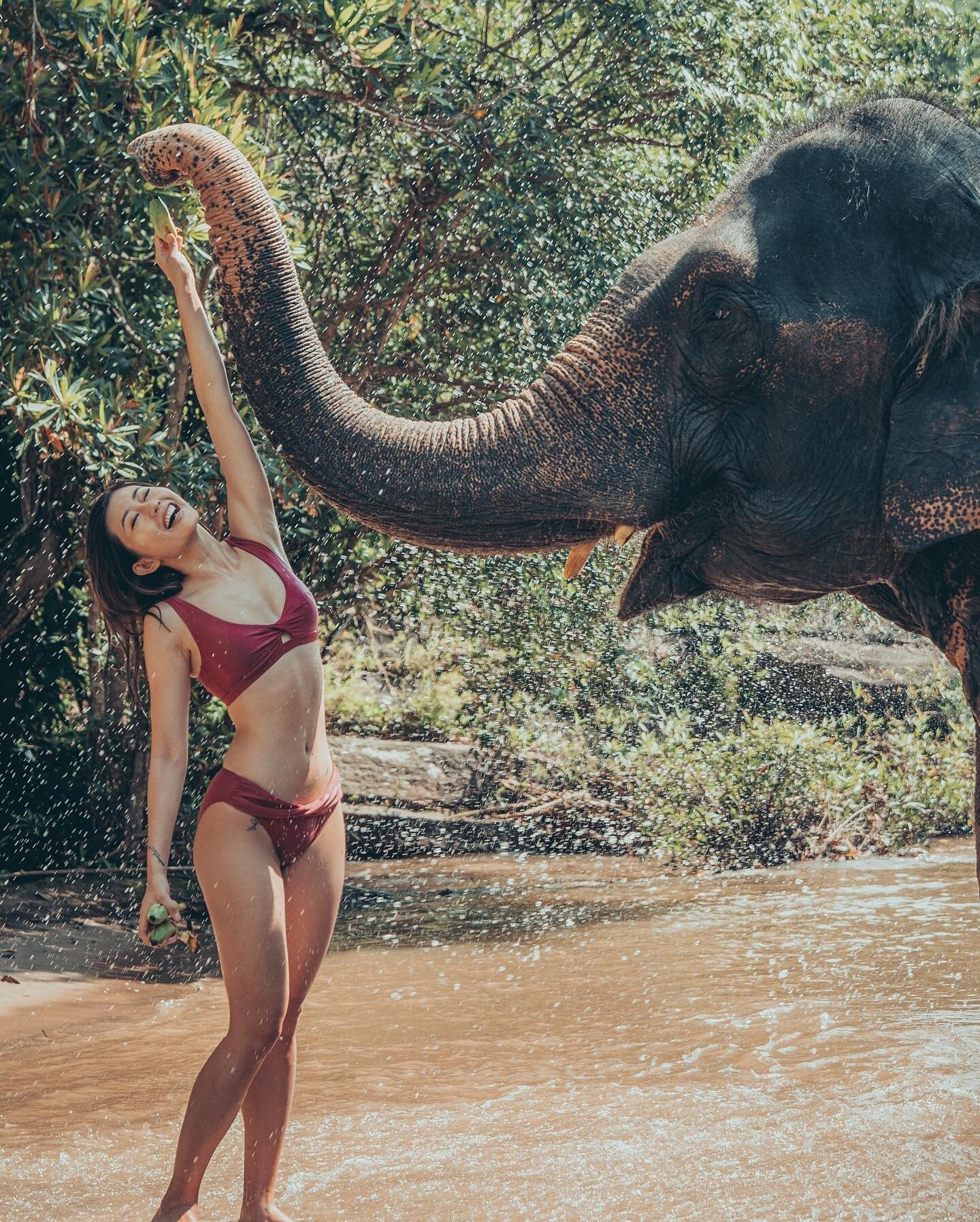 meet my new friend 🐘 @chailaiorchid
 
memories captured by @dlc.photographer