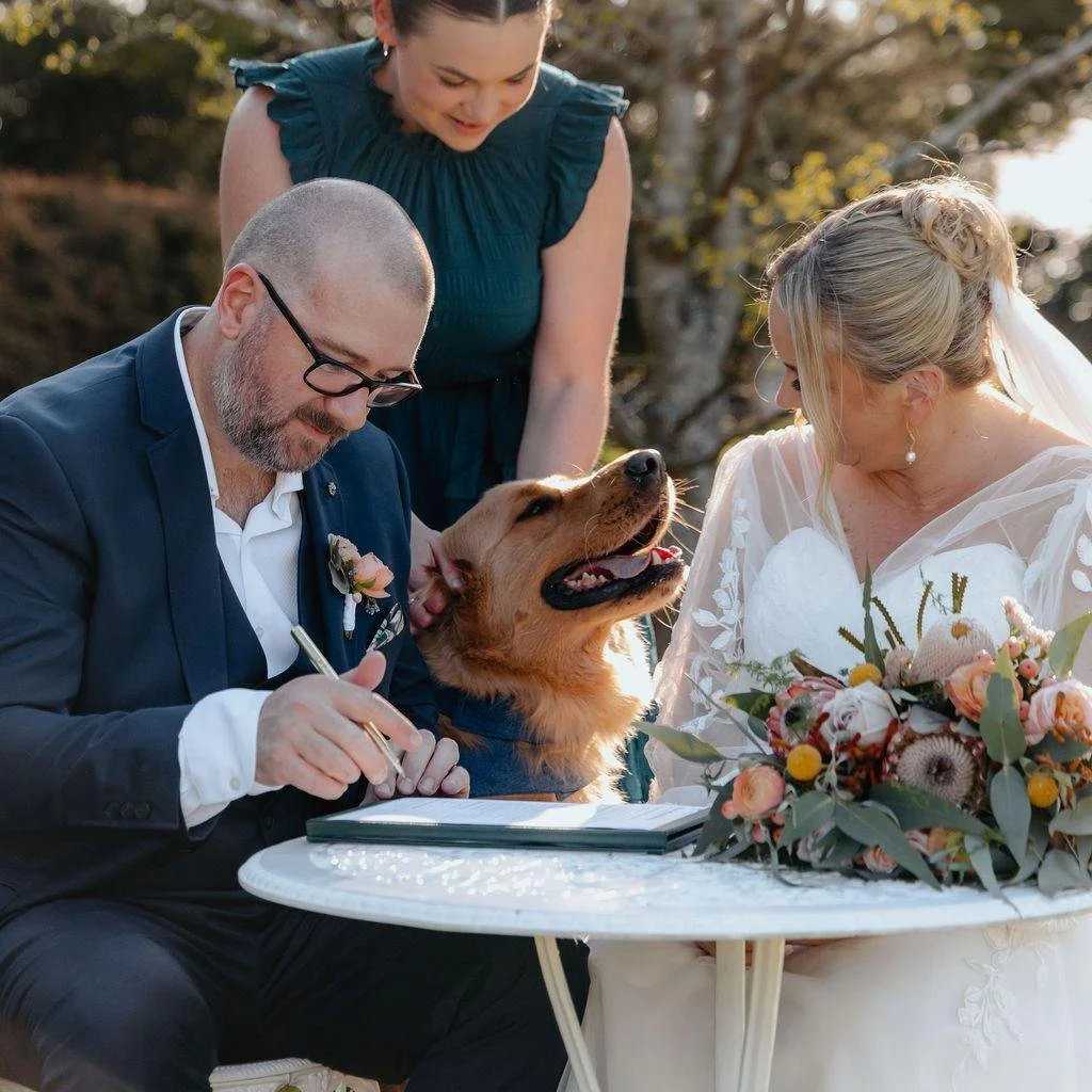 Proud Moment in the books for Jindi and Banjo... Front row seat to your parents getting married AND a 'legal' role in the paperwork. Banjo and Jindi knew the assignment and were pawsitively iconic.🤍🐾

♡ Photos @kris.p.photography 
♡ Venue @glenfyne