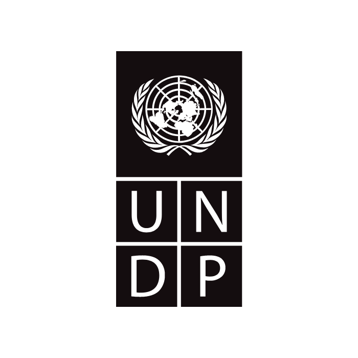 RC_UNDP.png