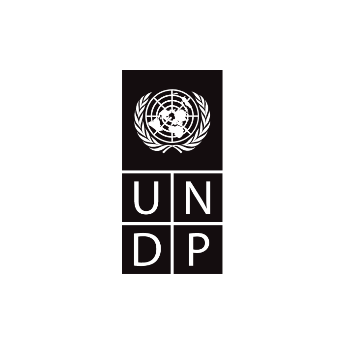 UNDP logo