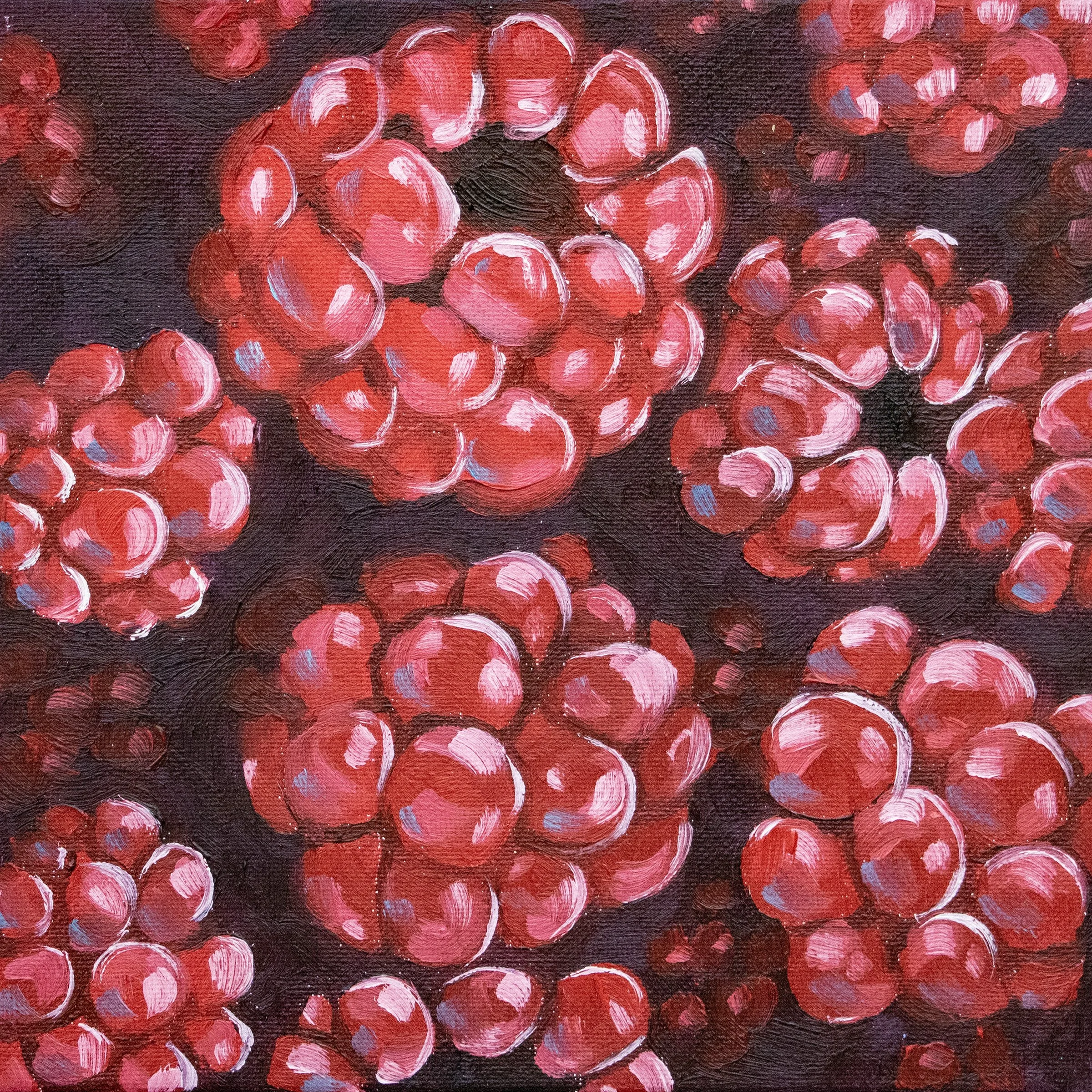 Rasp 8x8 No Border.jpg