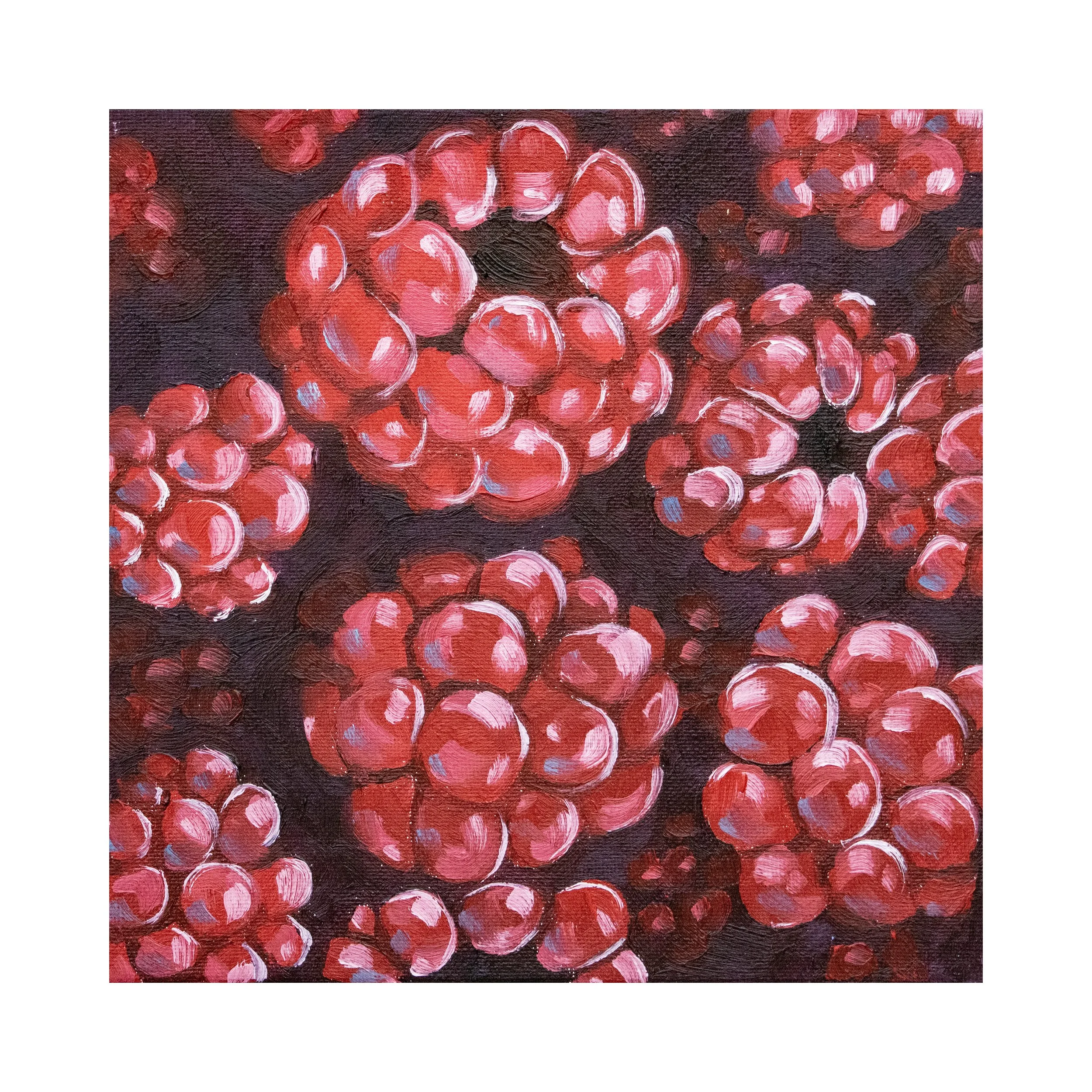 Rasp 10x10 With Border.jpg