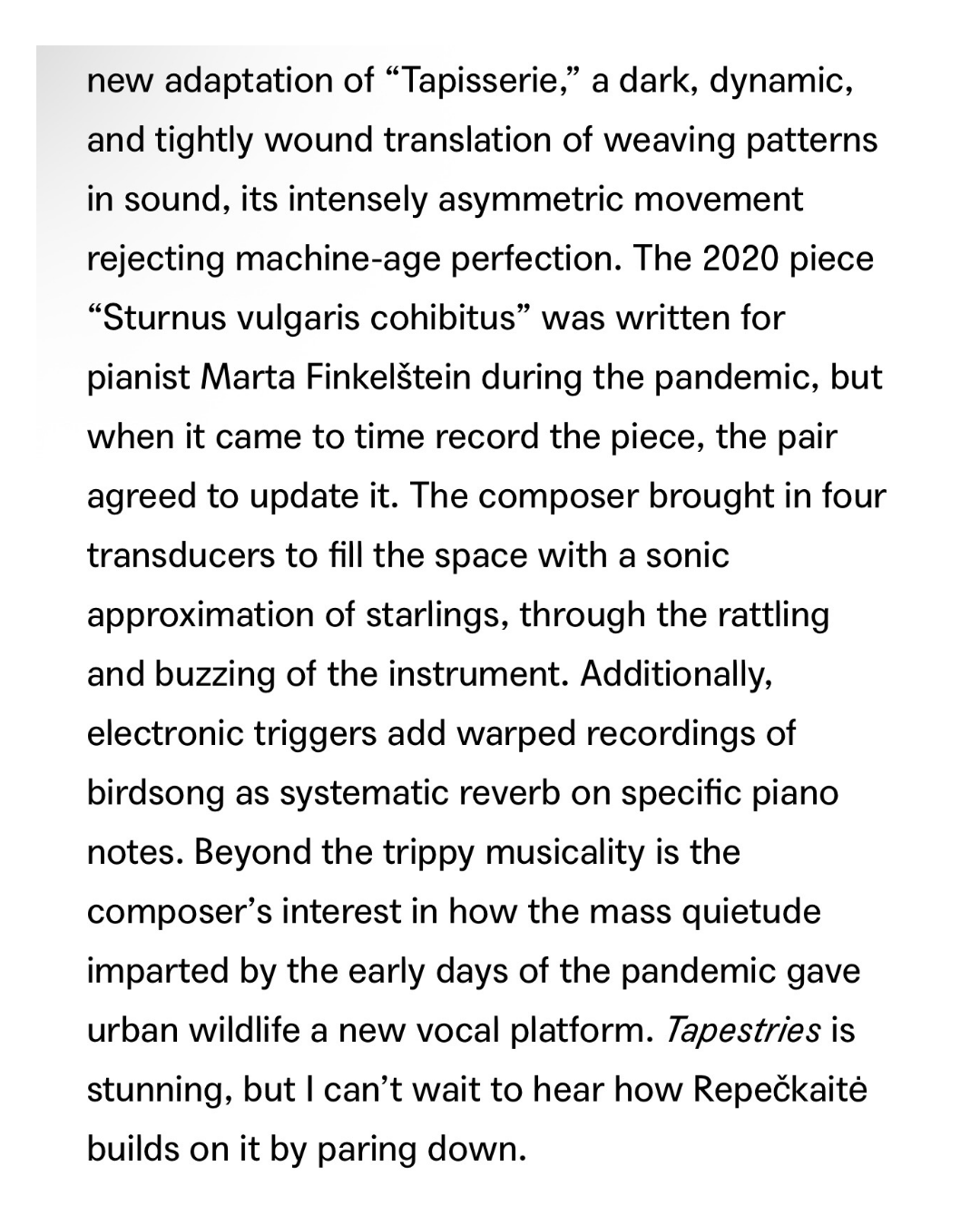 bandcamp – 1.png