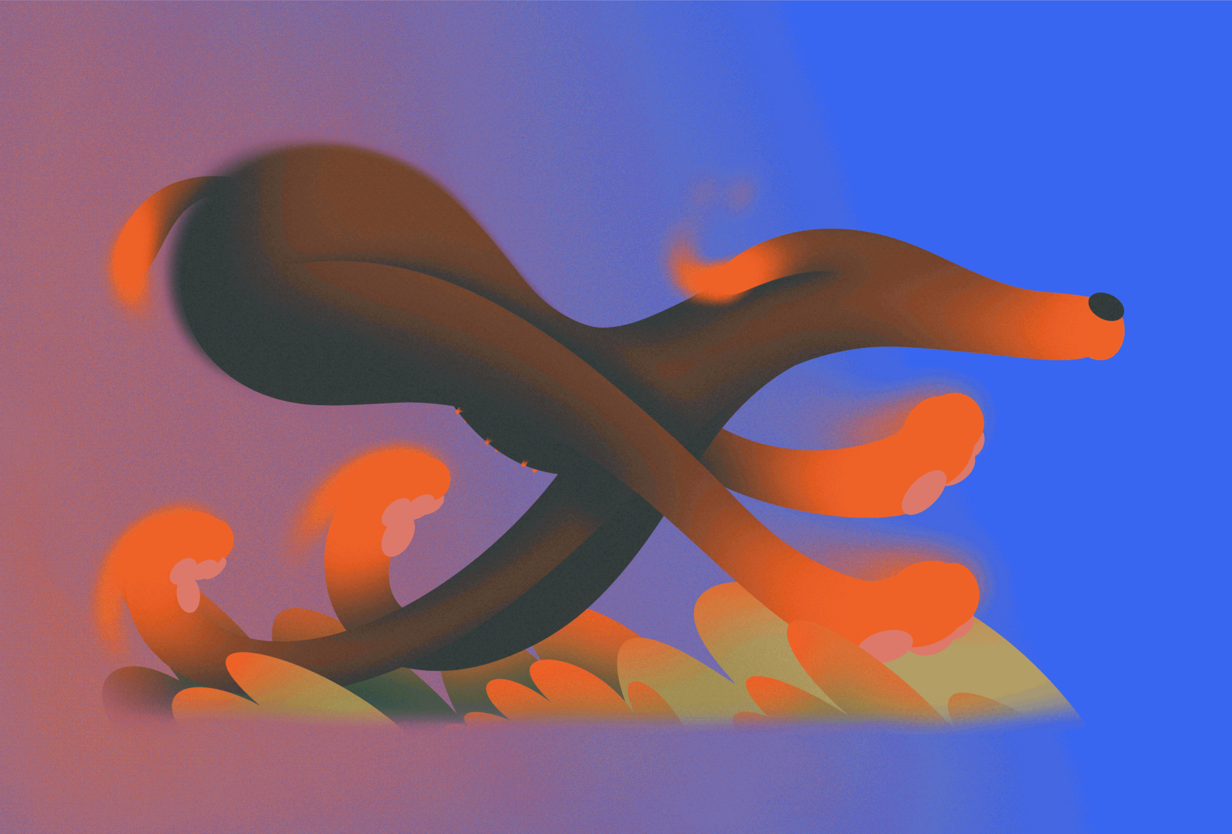 IMG_2364 3.gif