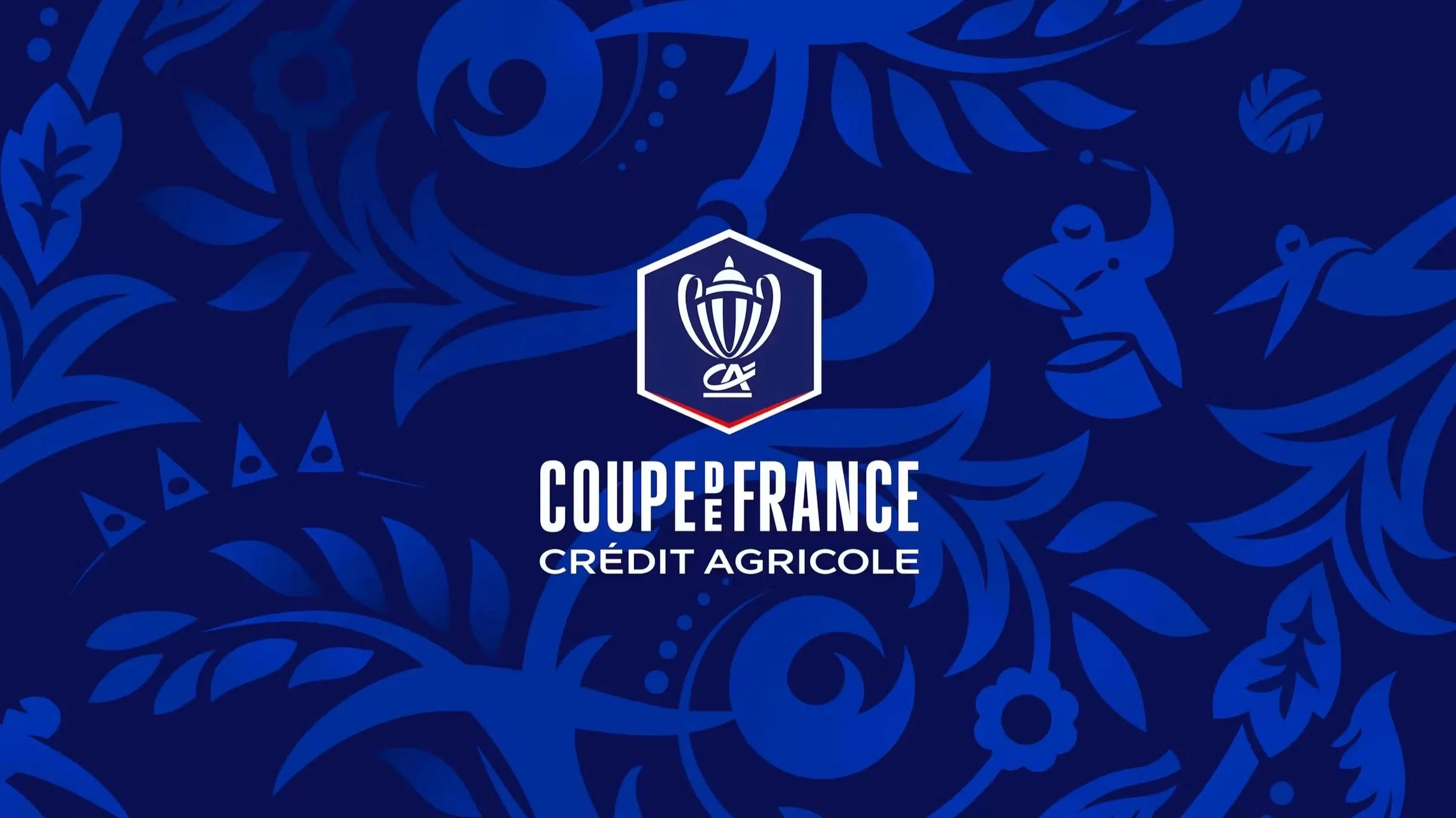 Coupe de France