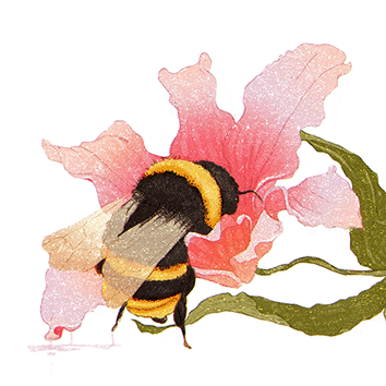 Abejita | Illustration