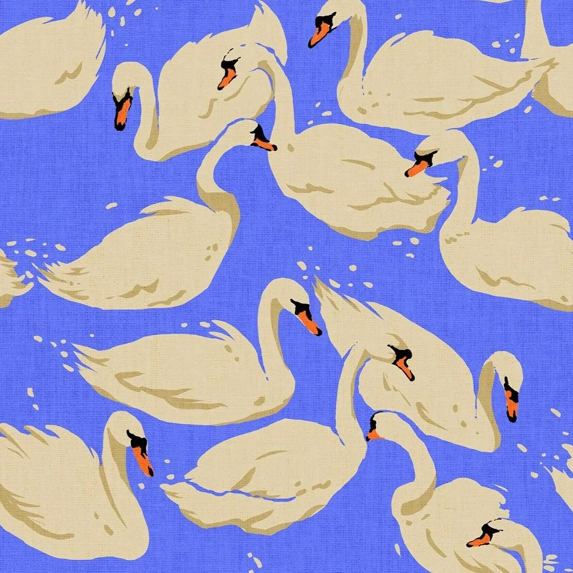 Cisnes