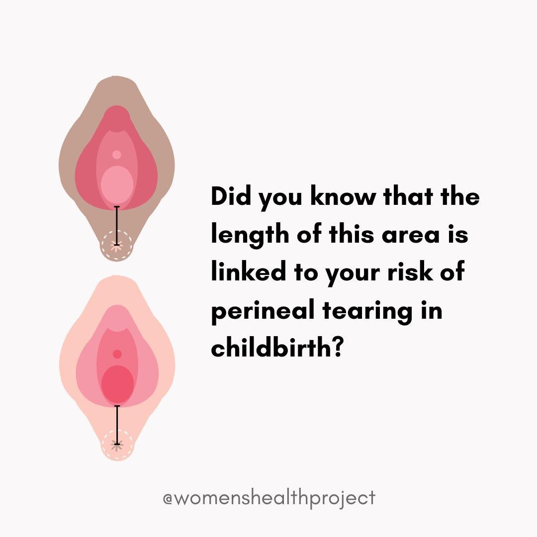 The length of your perineum is inversely related to your risk of sustaining a severe perineal tear⁠
⁠
⭐What is the PERINEUM?⁠
⁠
The perineum is the area between your vagina and anus⁠
⁠
⭐How does the length of your perineum relate to your risk of tear