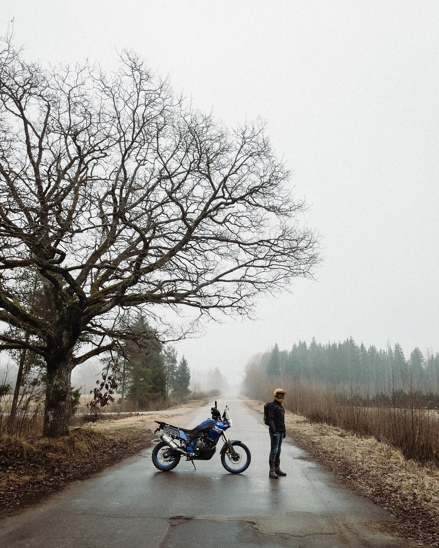 Early spring, moody morning. 
Perfect for some pictures with my bike. 😏

Follow more of my motorcycle adventures on @billijs.moto 

#motorcycle #tenere #fog
