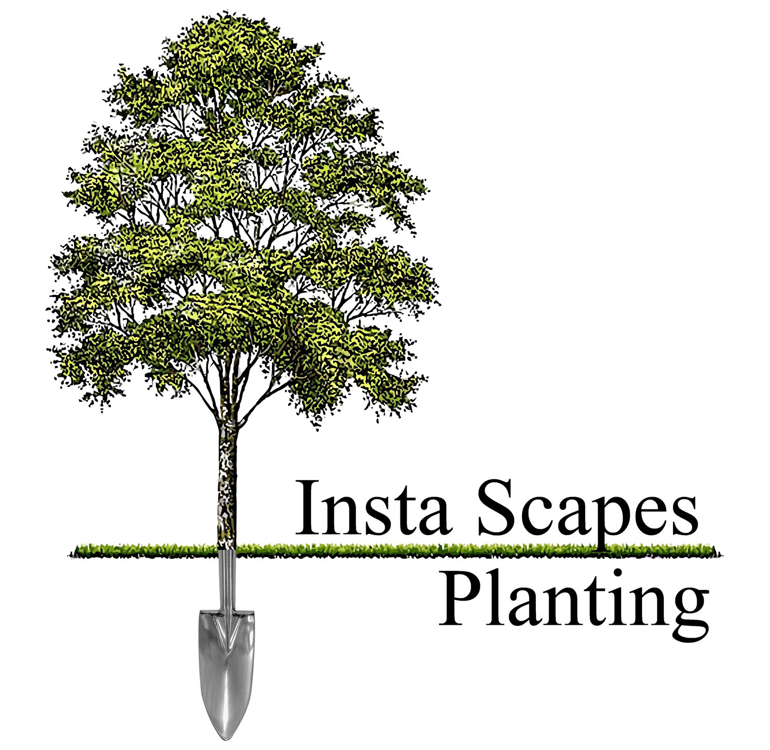 Insta Scapes Planting