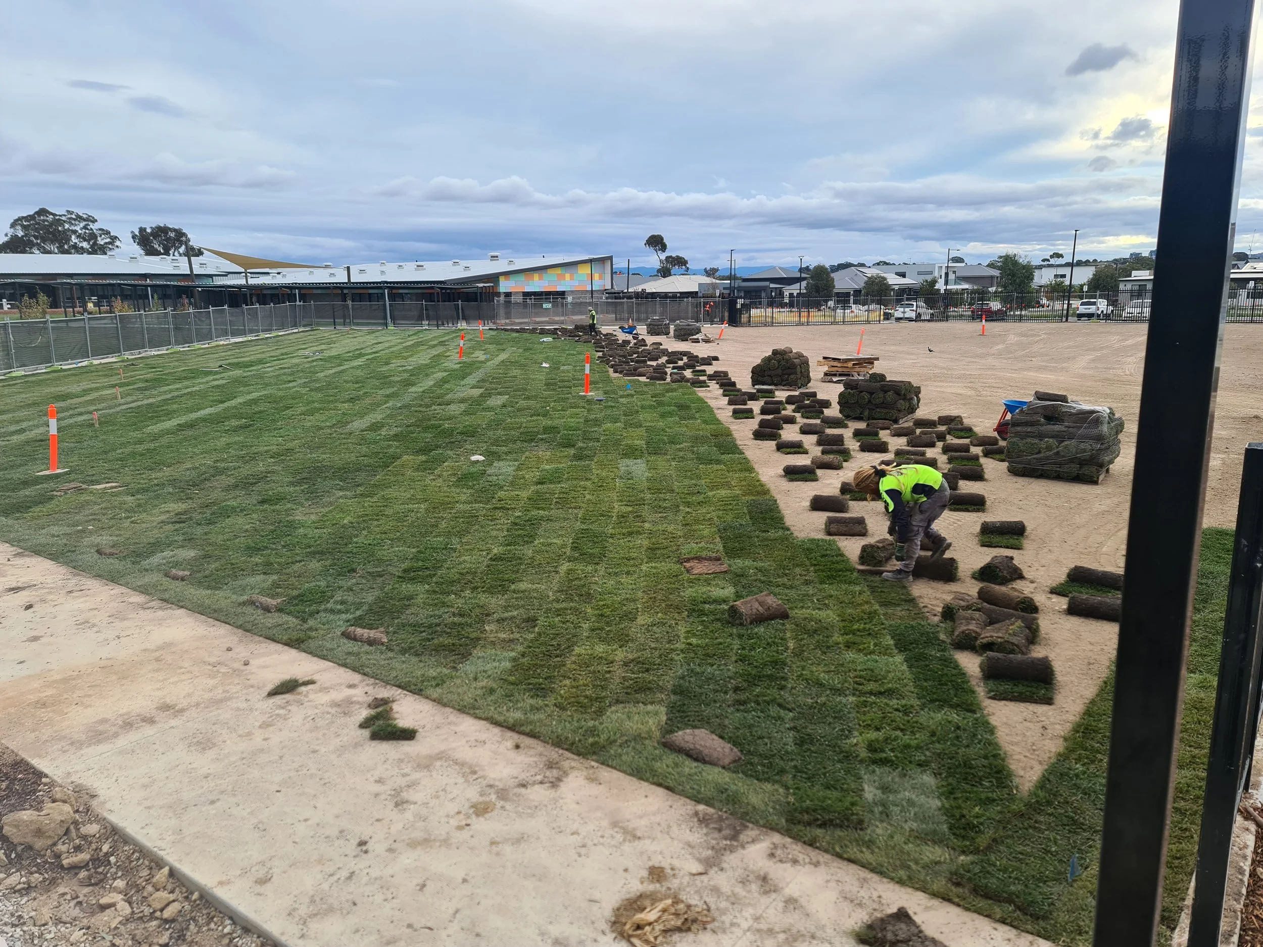 Insta Scapes Planting