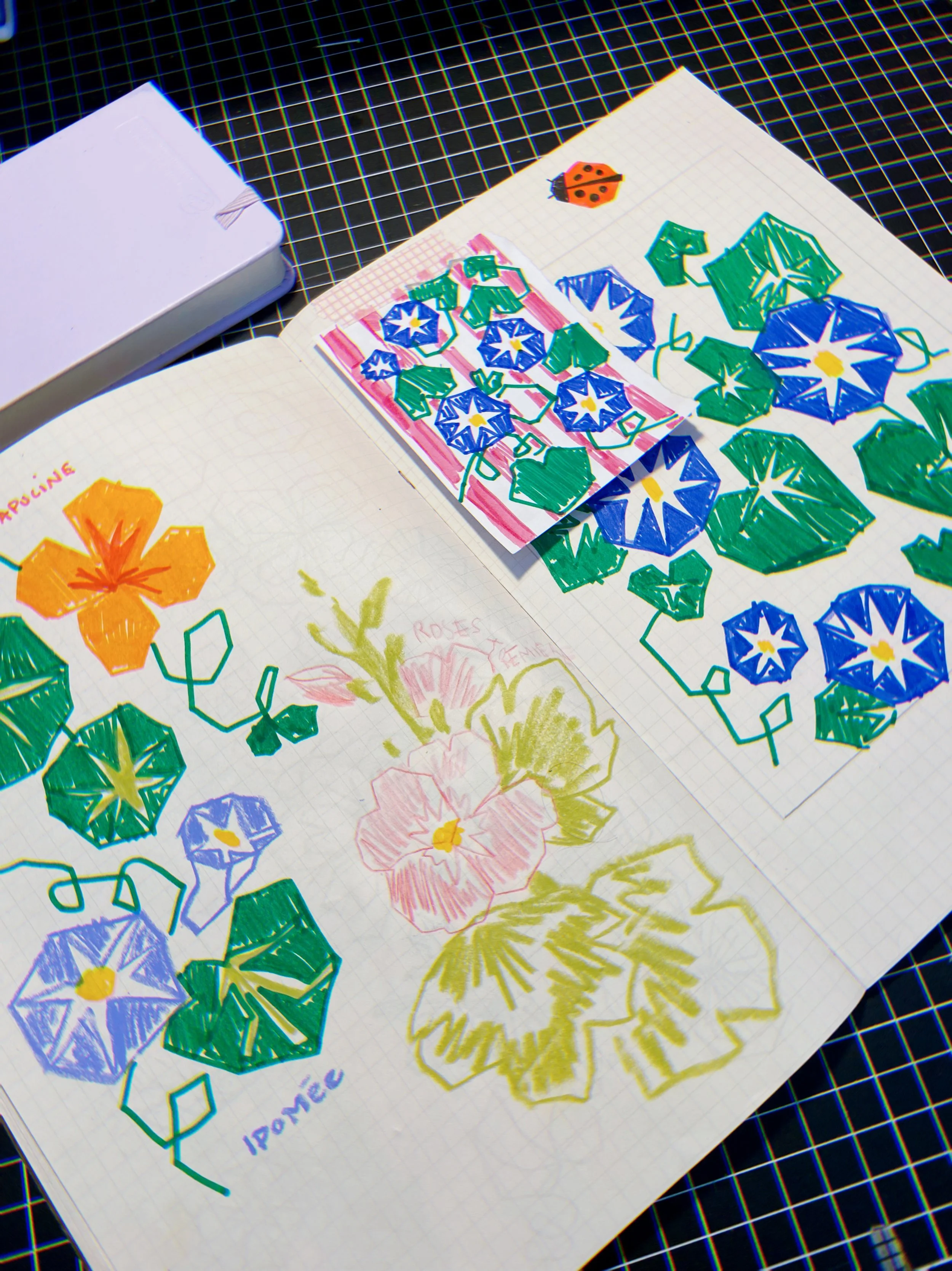 IMG_1750170546513 2.JPEG