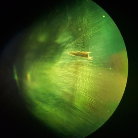 10367_Demantoid_large.jpeg