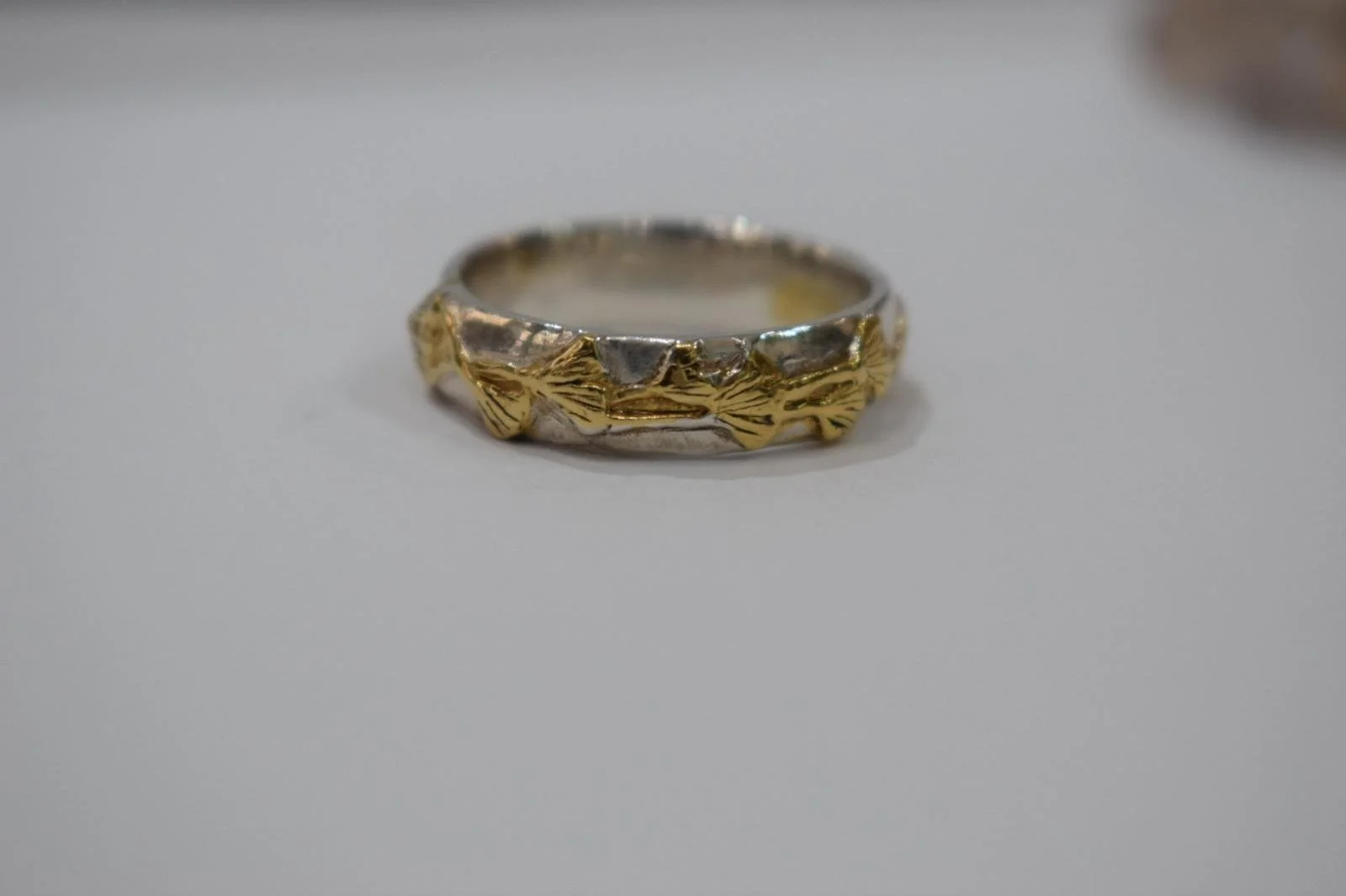 WhatsApp Image 2026-01-16 at 12.45.27 pm (8).jpeg