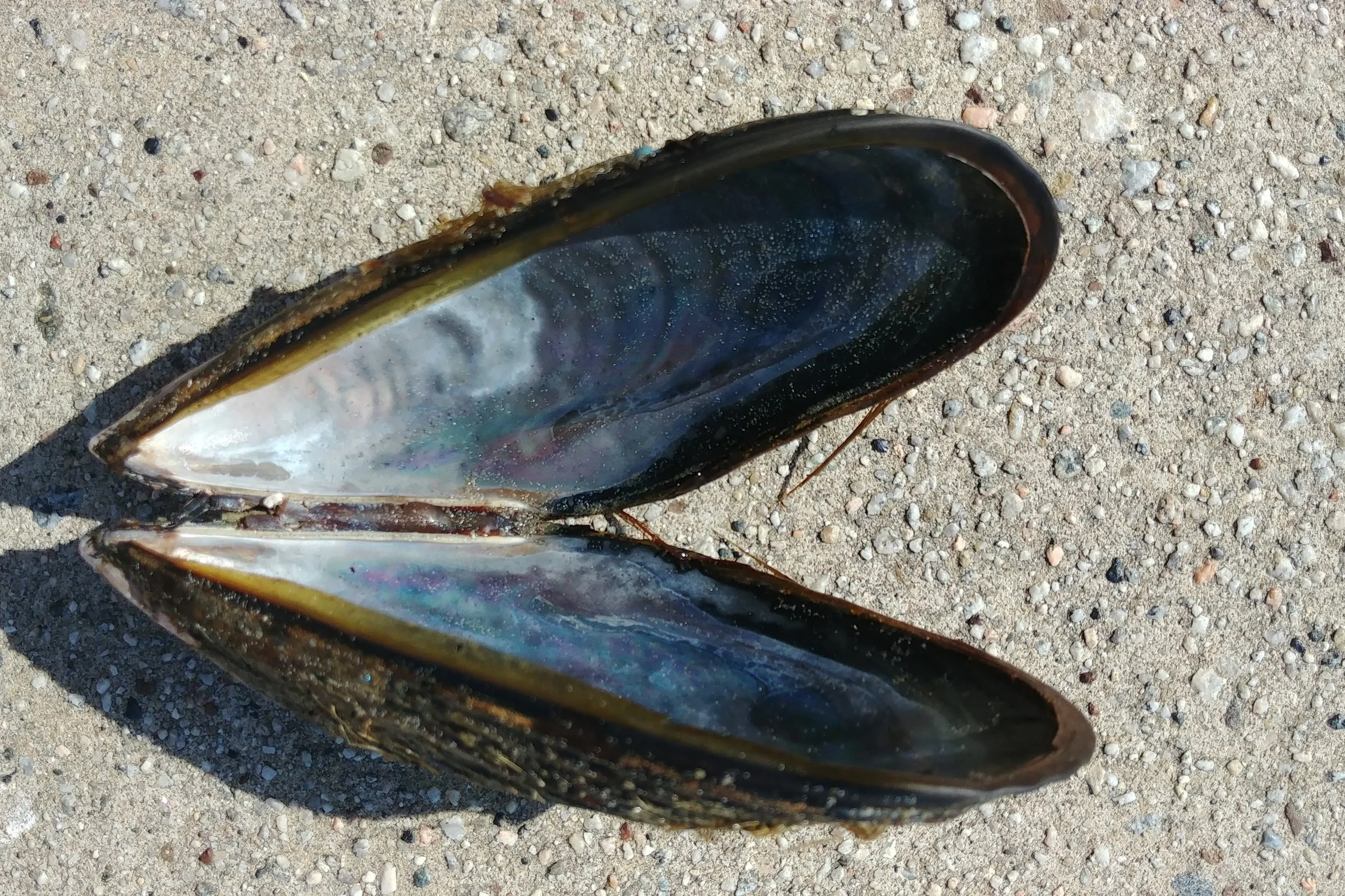 20180725_185259.jpg